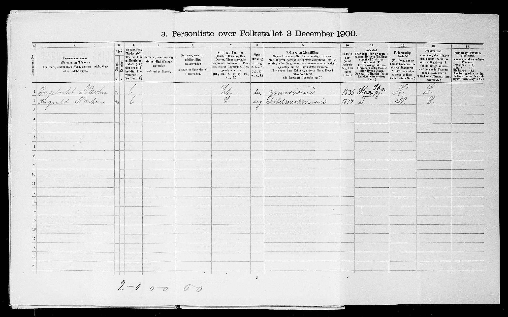 SAST, 1900 census for Stavanger, 1900, p. 18994