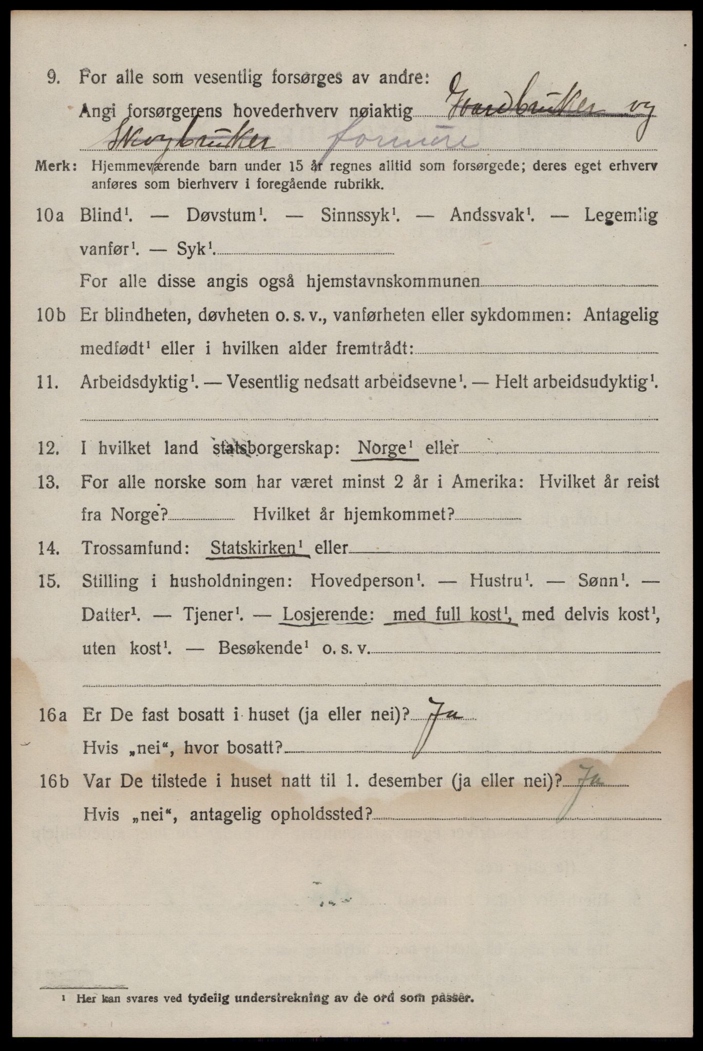 SAKO, 1920 census for Seljord, 1920, p. 1529