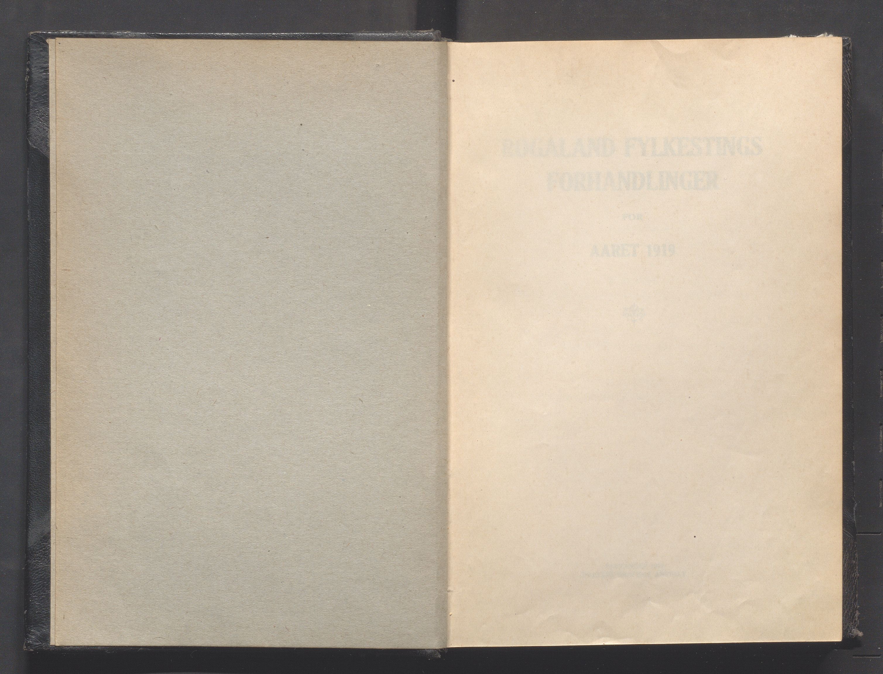 Rogaland fylkeskommune - Fylkesrådmannen , IKAR/A-900/A, 1919, p. 3