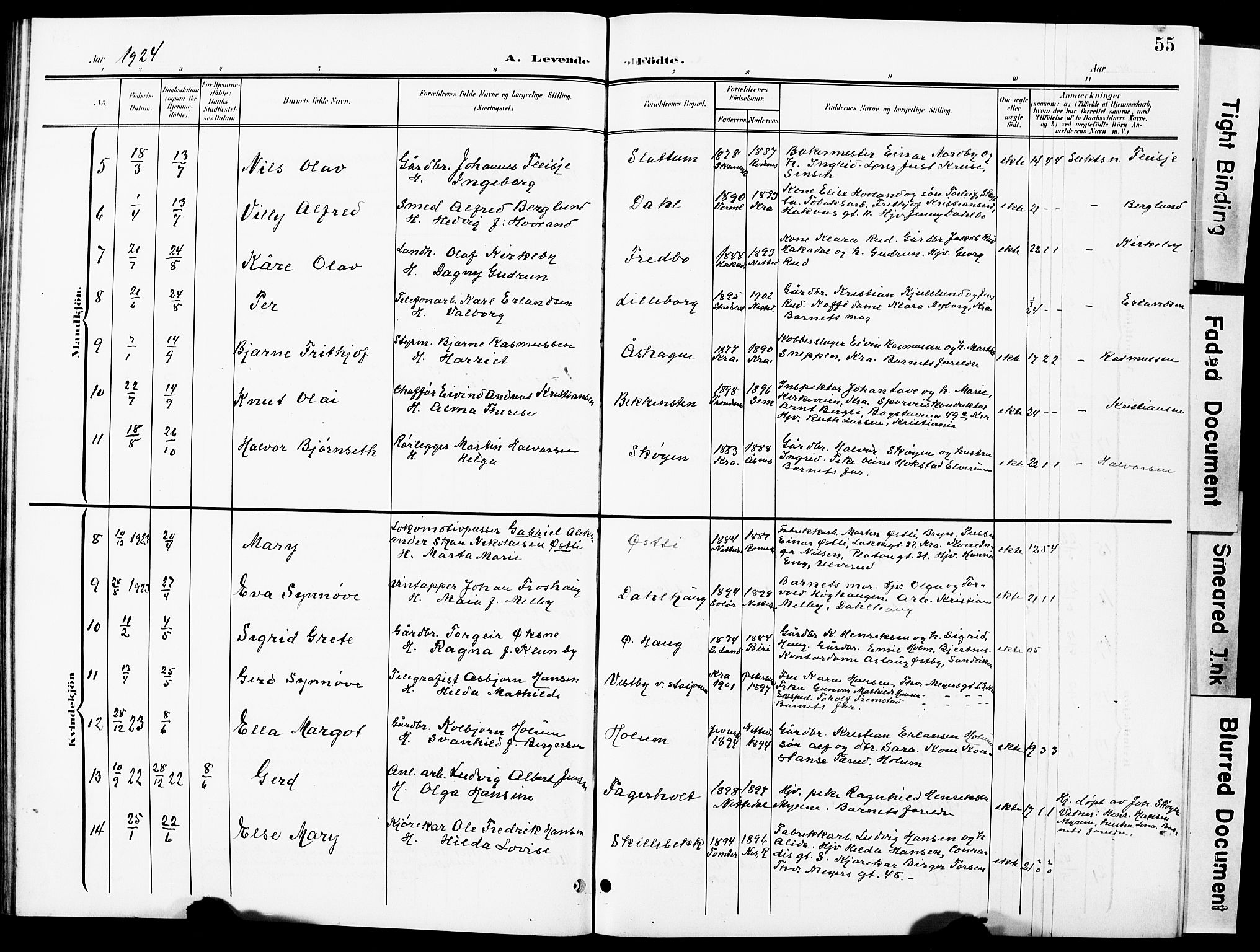Nittedal prestekontor Kirkebøker, SAO/A-10365a/G/Ga/L0003: Parish register (copy) no. I 3, 1902-1929, p. 55