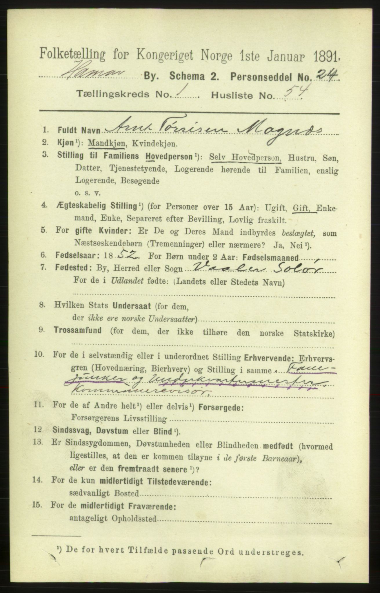 RA, 1891 census for 0401 Hamar, 1891, p. 958