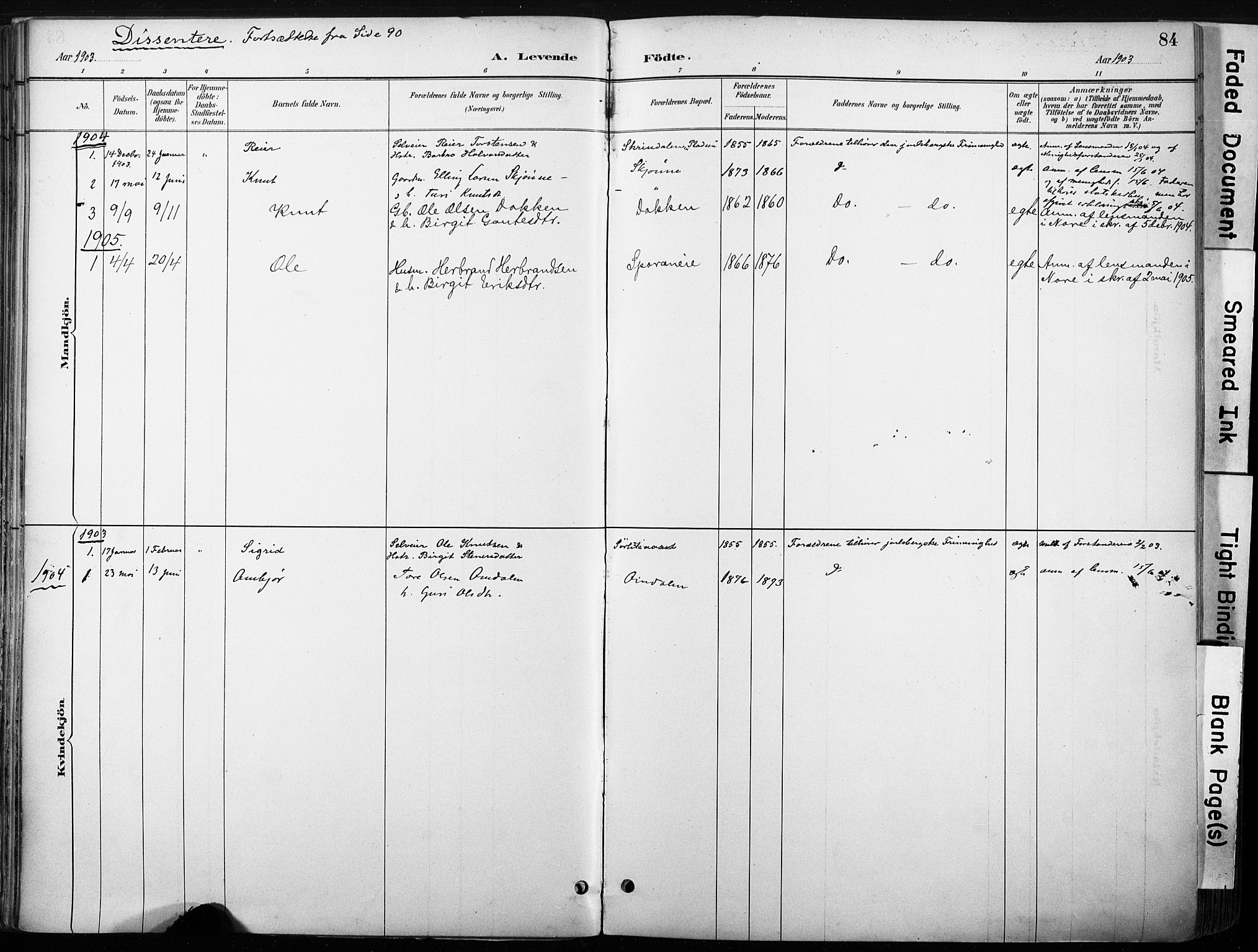 Nore kirkebøker, SAKO/A-238/F/Fb/L0002: Parish register (official) no. II 2, 1886-1906, p. 84