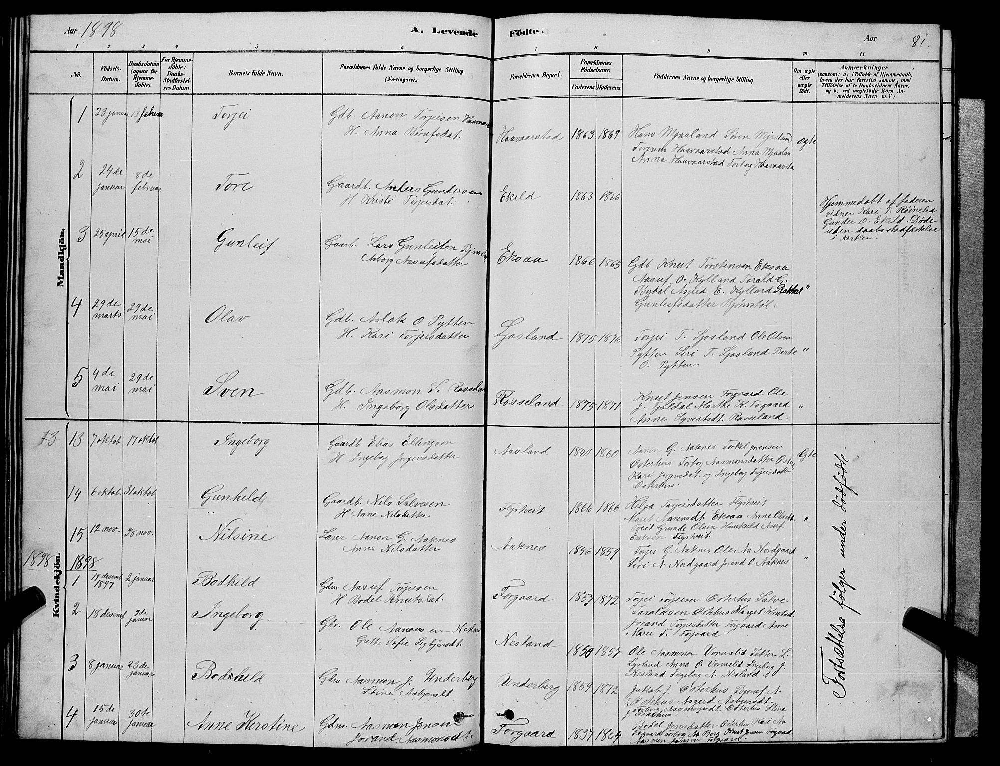 Åseral sokneprestkontor, AV/SAK-1111-0051/F/Fb/L0002: Parish register (copy) no. B 2, 1878-1899, p. 81