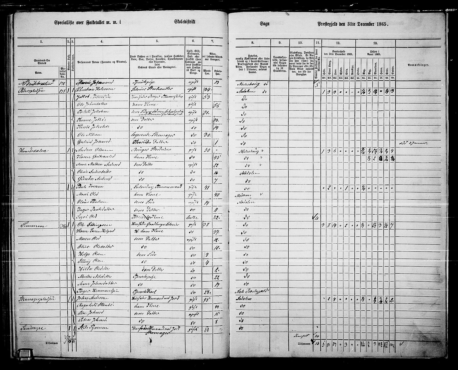 RA, 1865 census for Ådal, 1865, p. 106