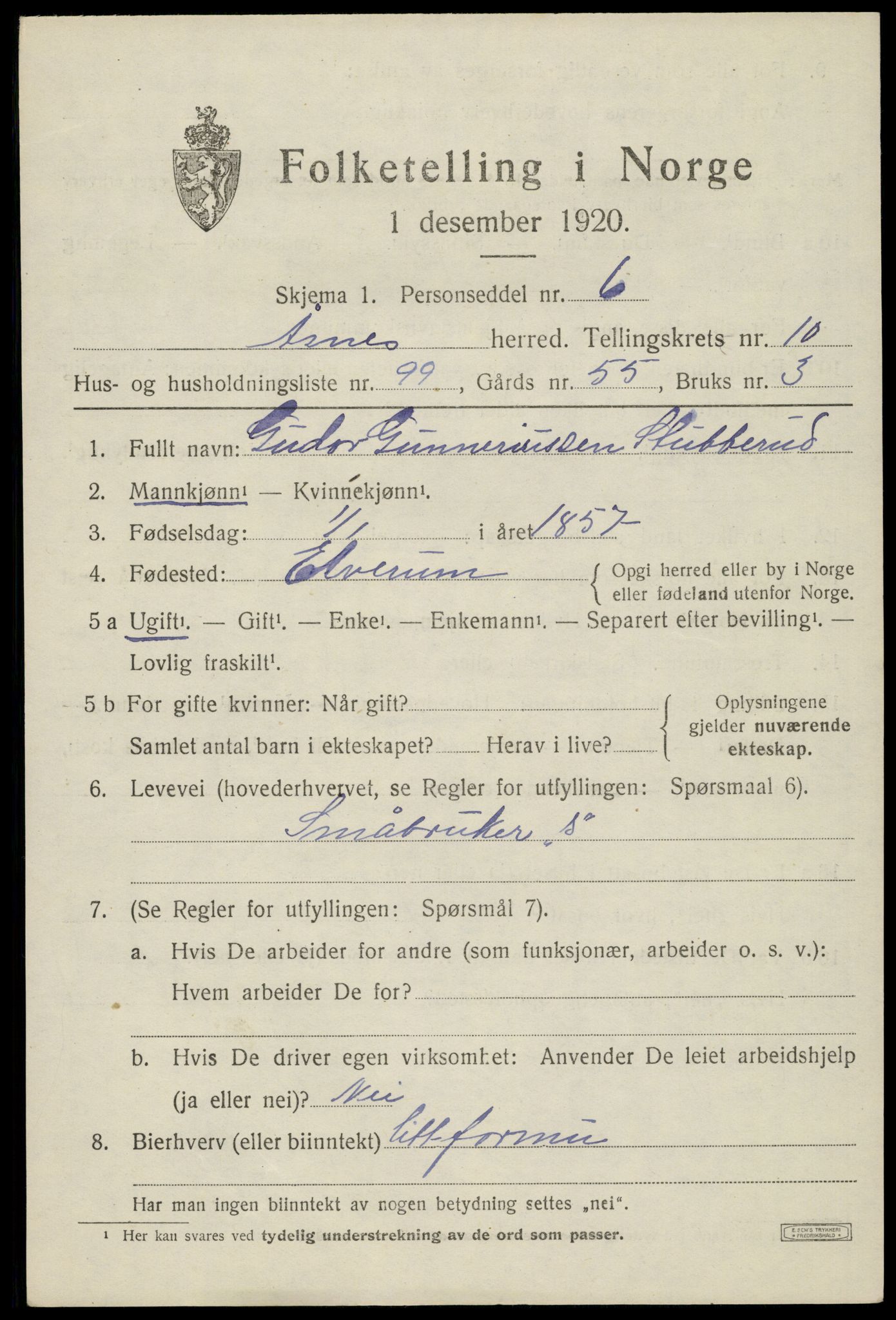 SAH, 1920 census for Åsnes, 1920, p. 11440