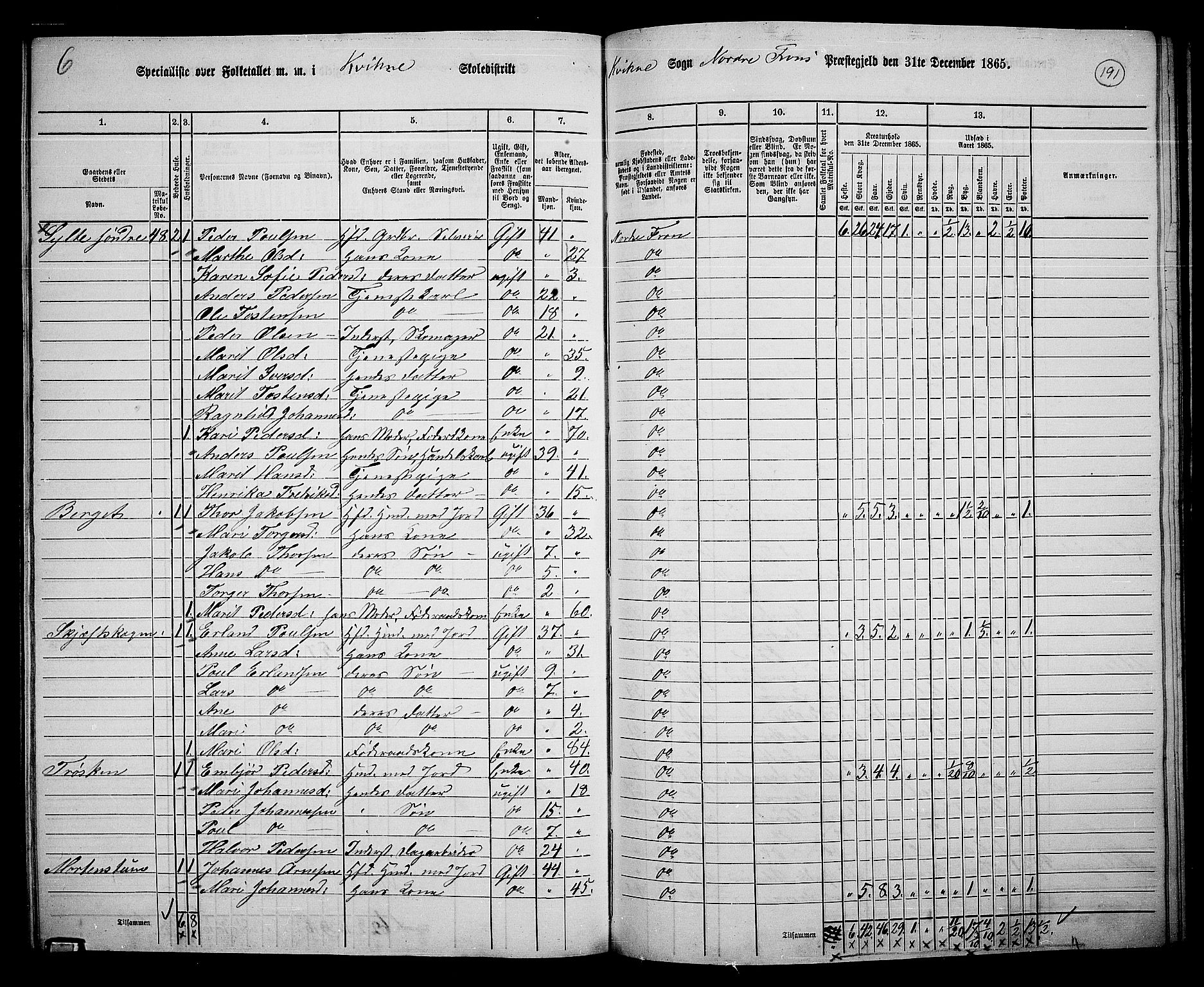 RA, 1865 census for Nord-Fron, 1865, p. 176