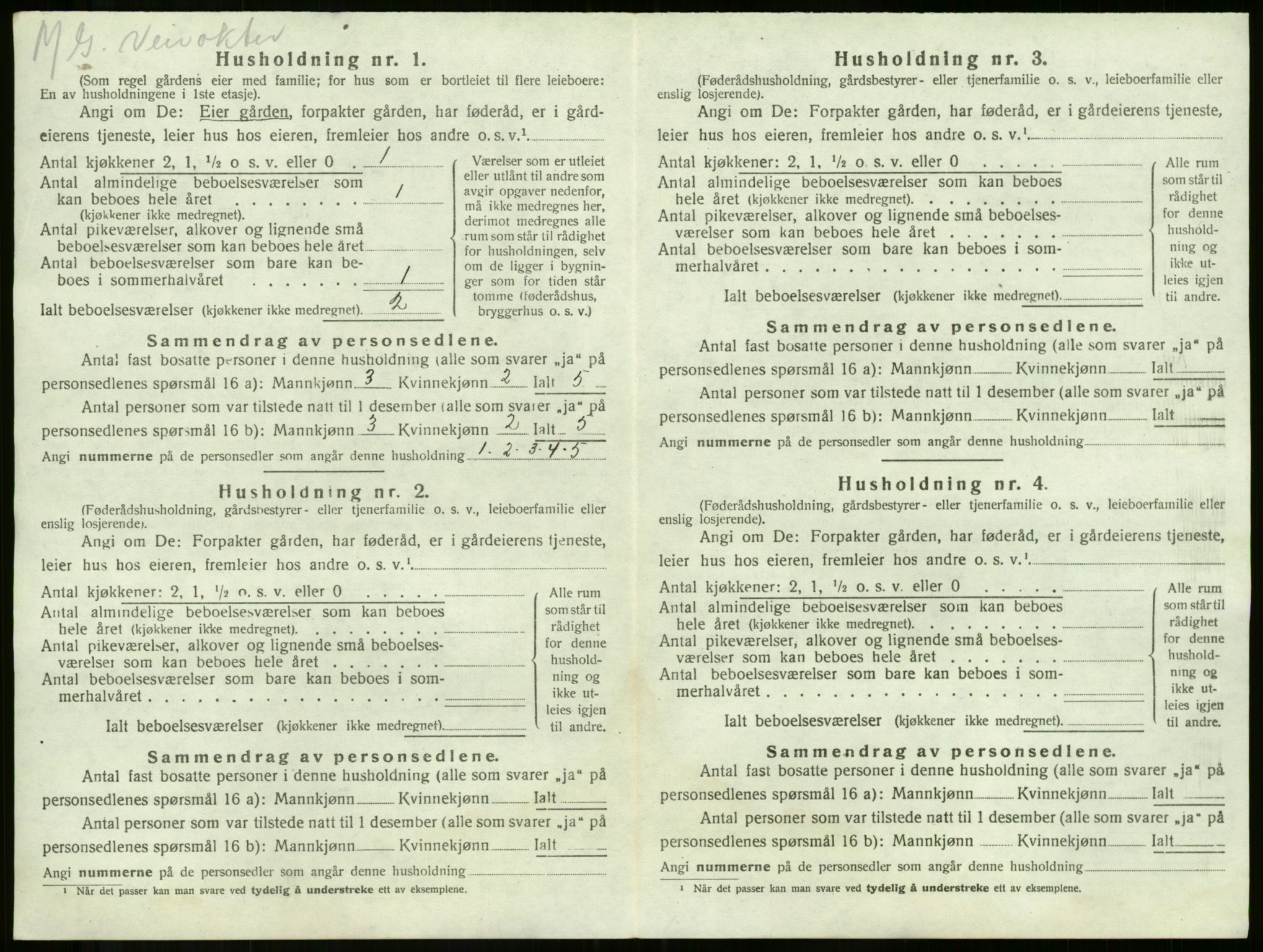 SAKO, 1920 census for Våle, 1920, p. 989