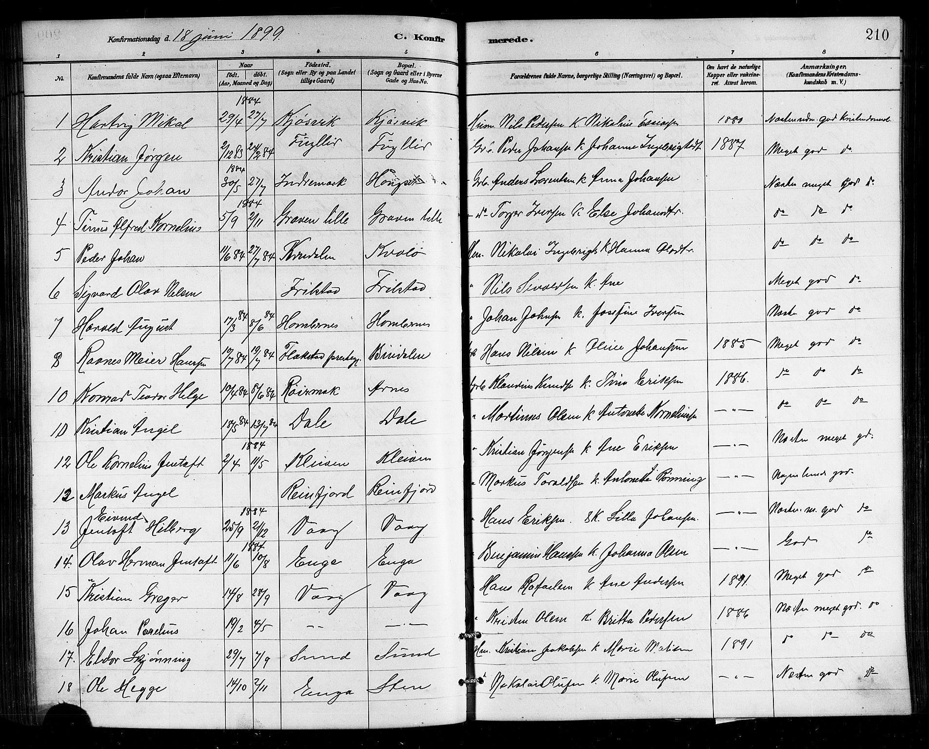 Ministerialprotokoller, klokkerbøker og fødselsregistre - Nordland, SAT/A-1459/812/L0188: Parish register (copy) no. 812C06, 1884-1912, p. 210