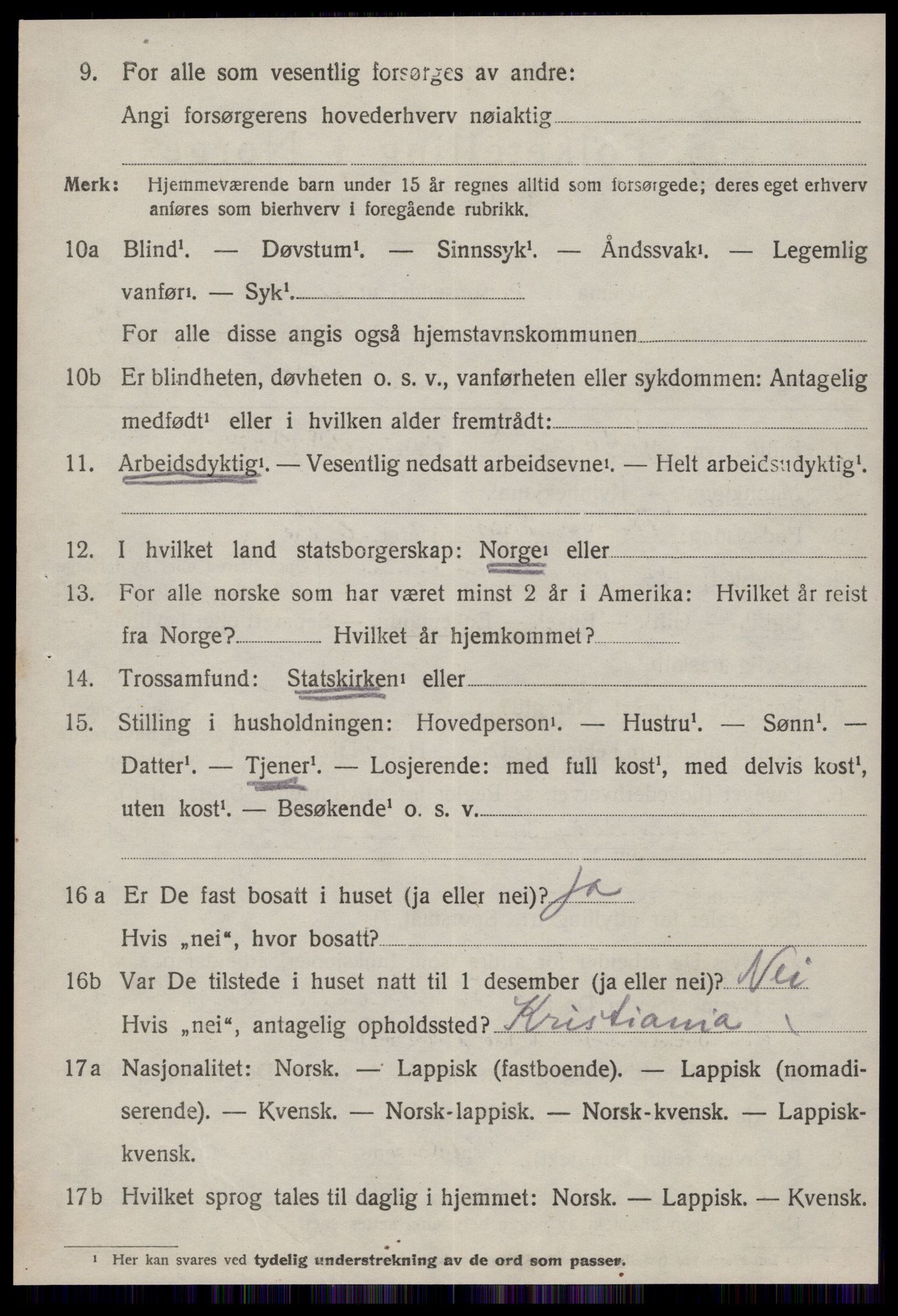 SAT, 1920 census for Selbu, 1920, p. 6997