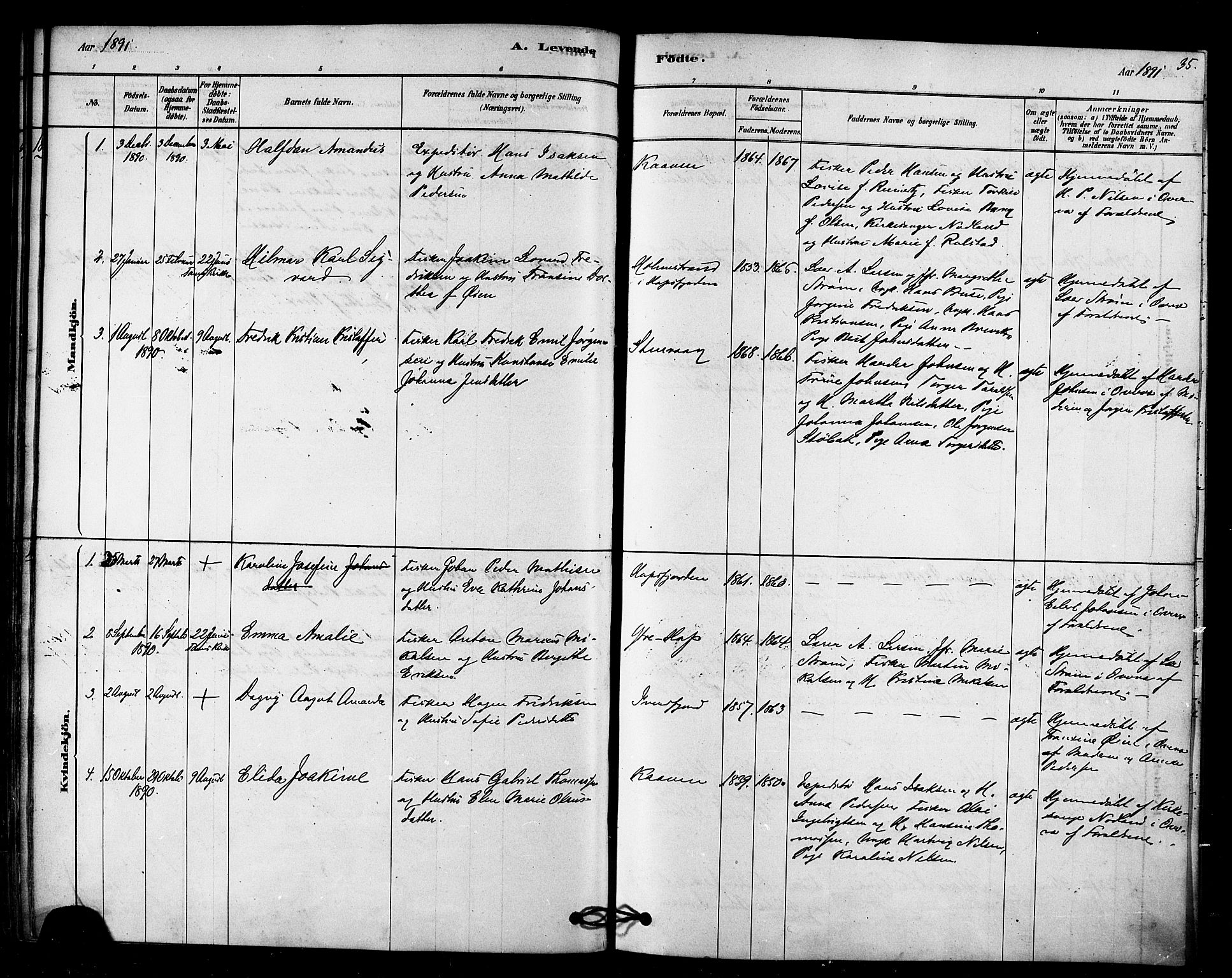 Tana sokneprestkontor, SATØ/S-1334/H/Ha/L0003kirke: Parish register (official) no. 3, 1878-1892, p. 35