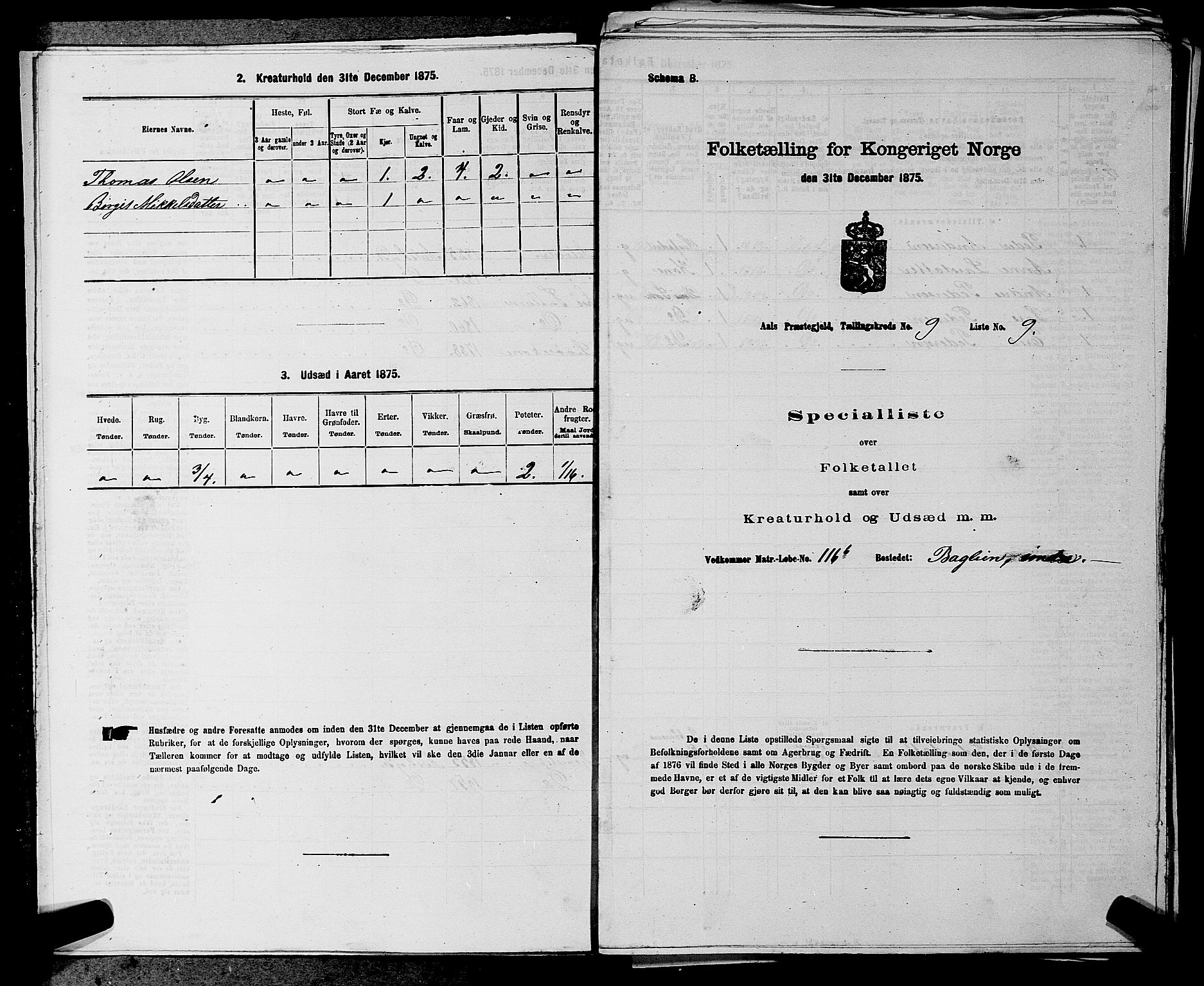 SAKO, 1875 census for 0619P Ål, 1875, p. 1109