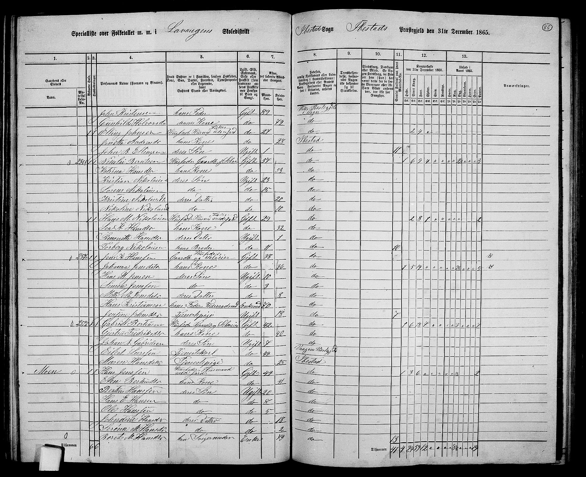 RA, 1865 census for Ibestad, 1865, p. 80