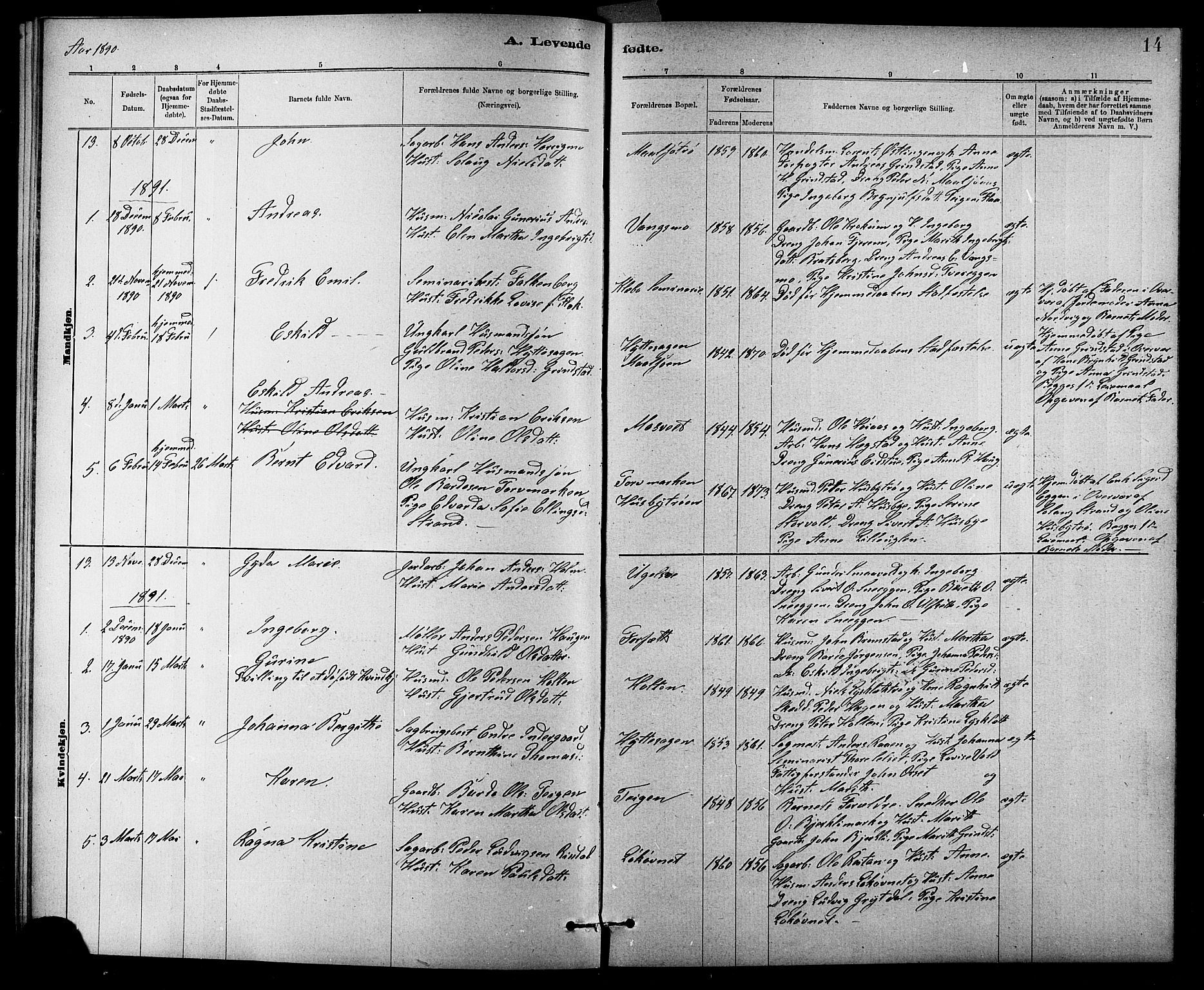 Ministerialprotokoller, klokkerbøker og fødselsregistre - Sør-Trøndelag, SAT/A-1456/618/L0452: Parish register (copy) no. 618C03, 1884-1906, p. 14