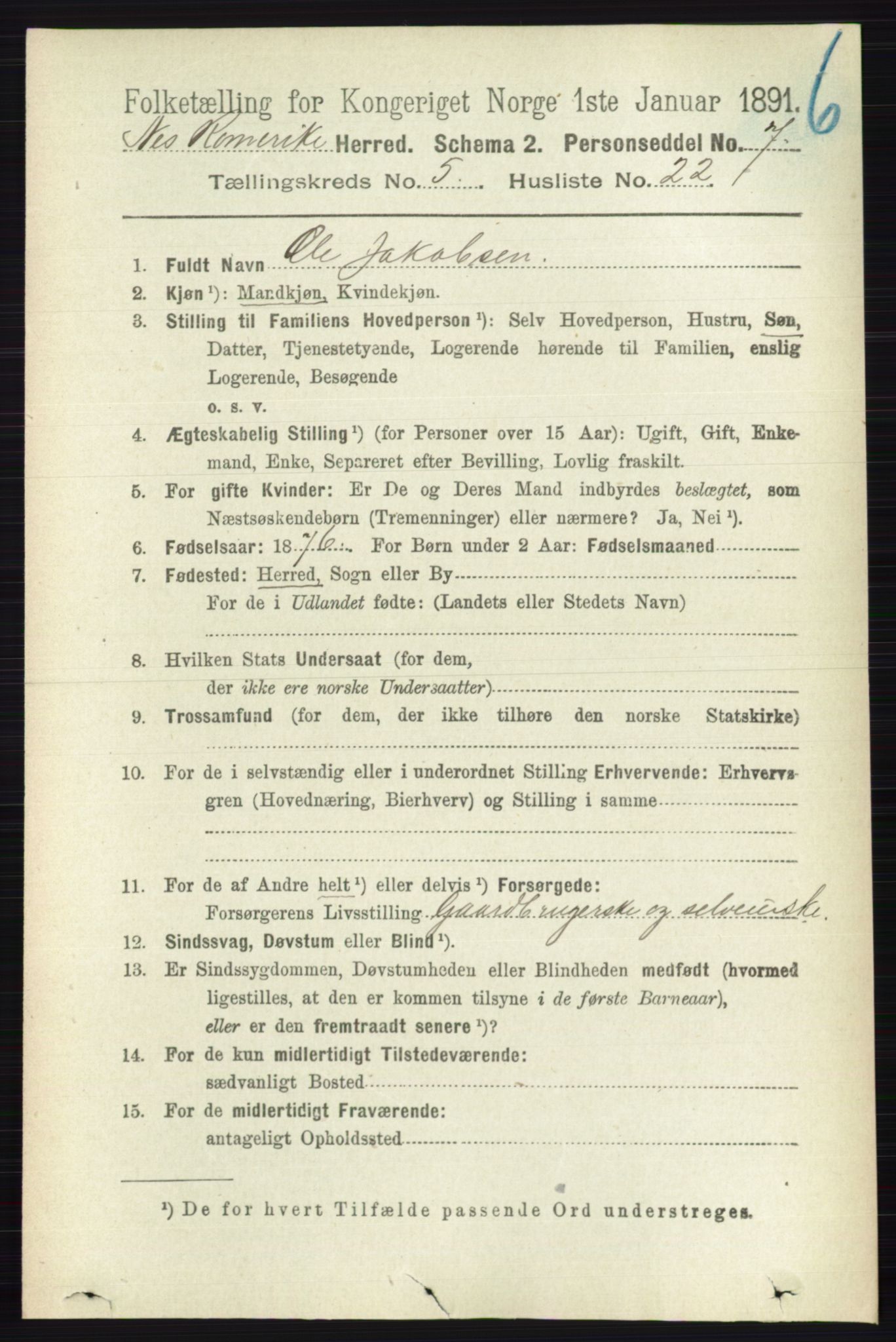 RA, 1891 census for 0236 Nes, 1891, p. 2915
