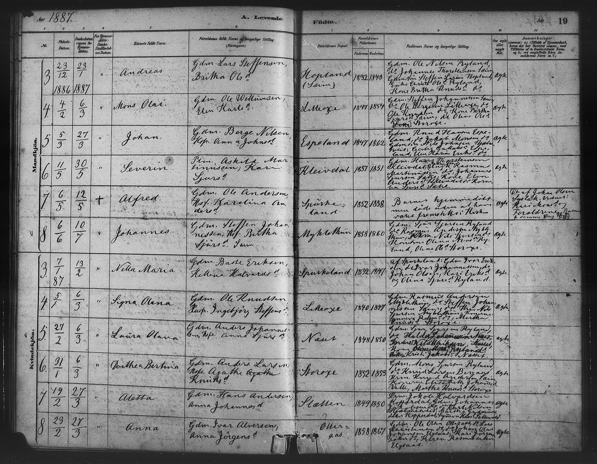 Alversund Sokneprestembete, AV/SAB-A-73901/H/Ha/Haa/Haad/L0001: Parish register (official) no. D 1, 1880-1898, p. 19