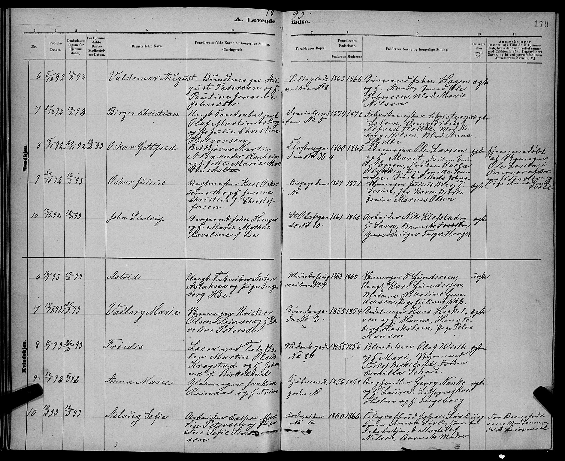 Ministerialprotokoller, klokkerbøker og fødselsregistre - Sør-Trøndelag, SAT/A-1456/601/L0092: Parish register (copy) no. 601C10, 1884-1897, p. 176
