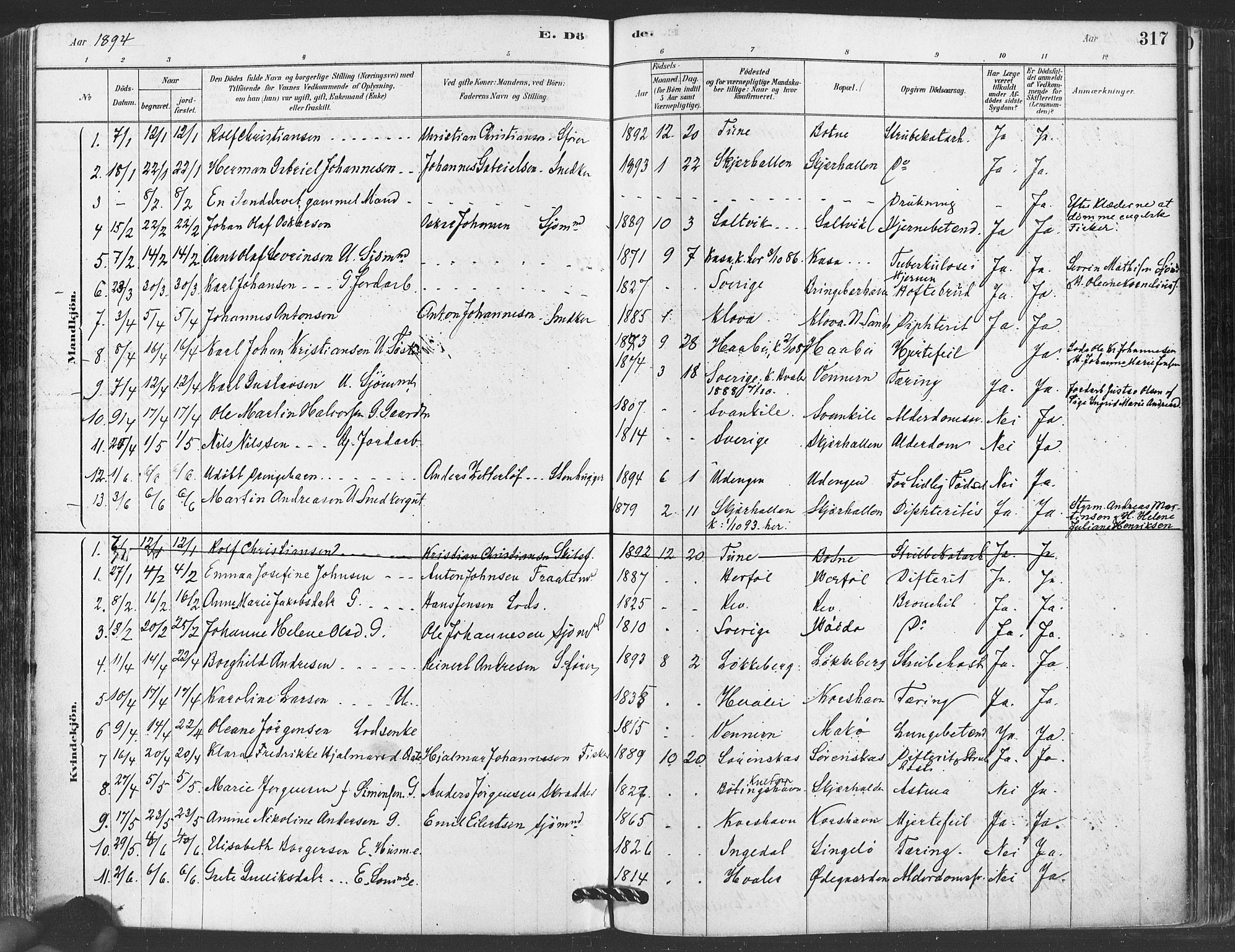 Hvaler prestekontor Kirkebøker, SAO/A-2001/F/Fa/L0008: Parish register (official) no. I 8, 1878-1895, p. 317