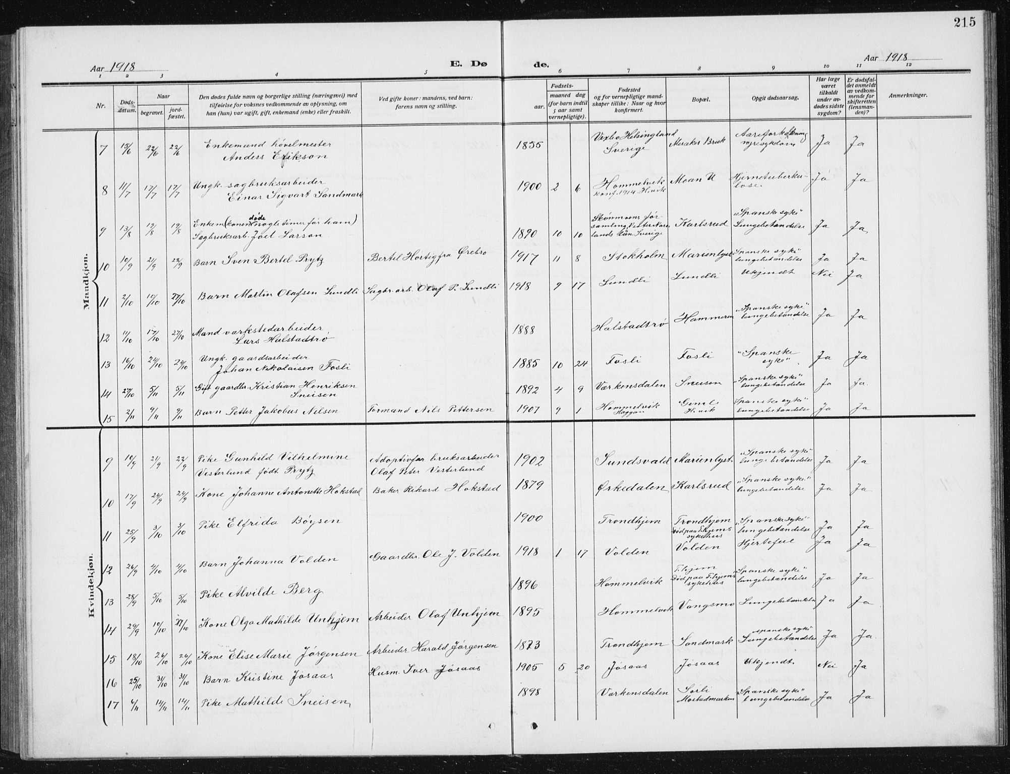 Ministerialprotokoller, klokkerbøker og fødselsregistre - Sør-Trøndelag, AV/SAT-A-1456/617/L0431: Parish register (copy) no. 617C02, 1910-1936, p. 215