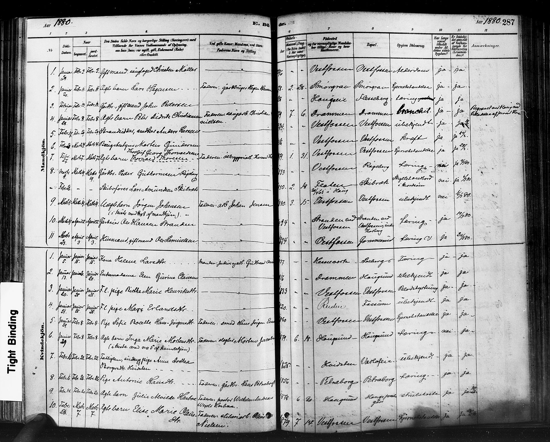 Eiker kirkebøker, SAKO/A-4/F/Fb/L0001: Parish register (official) no. II 1, 1878-1888, p. 287