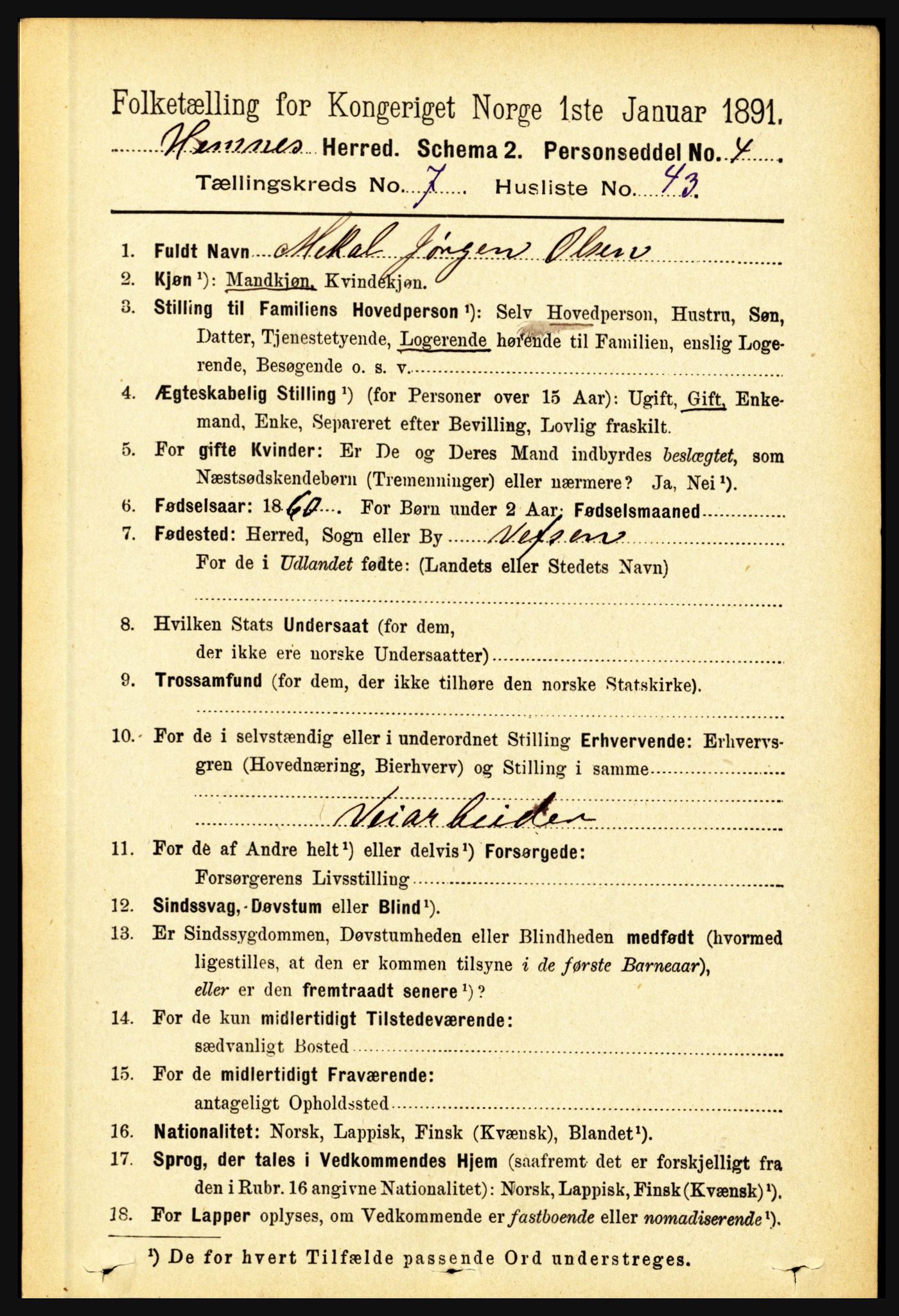 RA, 1891 census for 1832 Hemnes, 1891, p. 3523