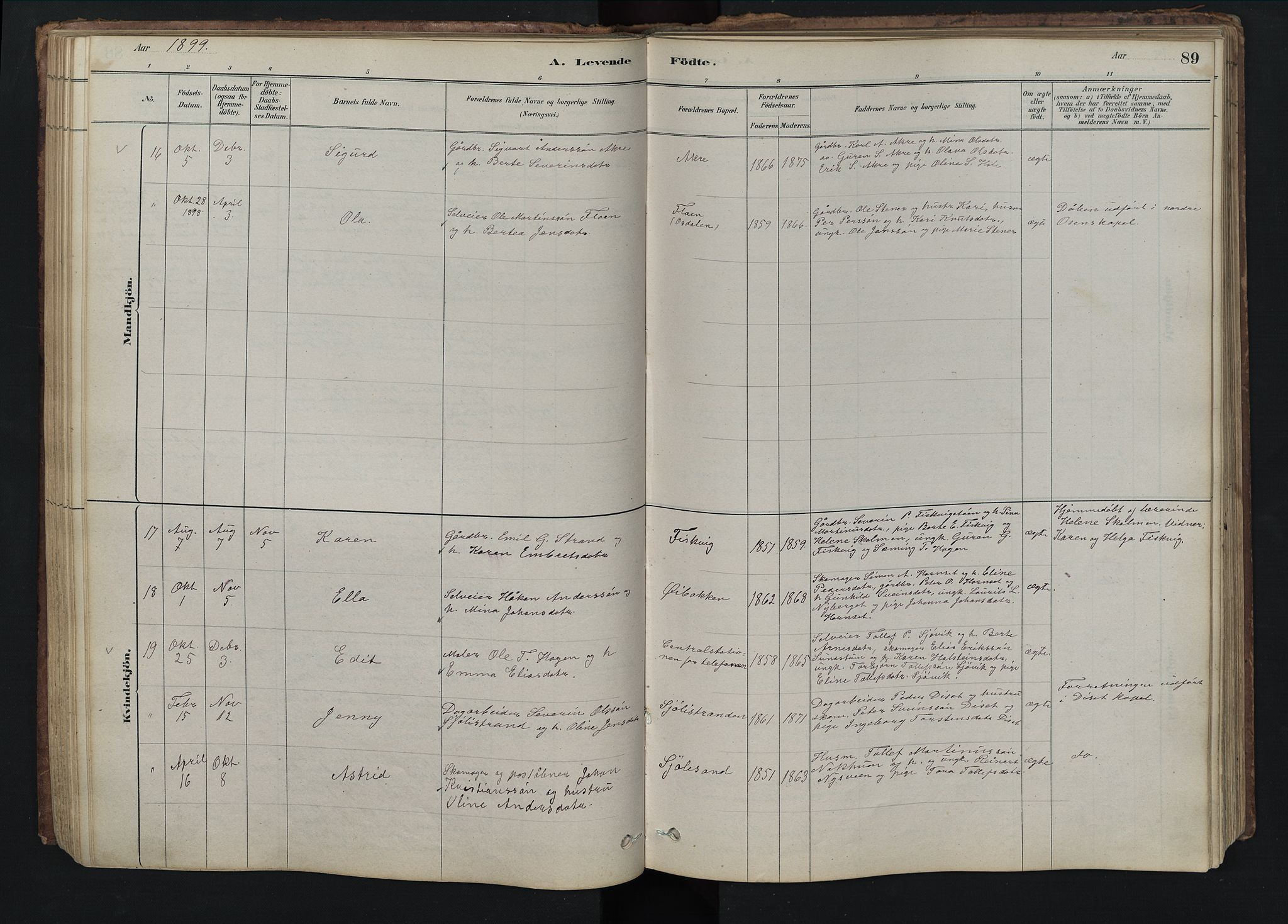 Rendalen prestekontor, SAH/PREST-054/H/Ha/Hab/L0009: Parish register (copy) no. 9, 1879-1902, p. 89
