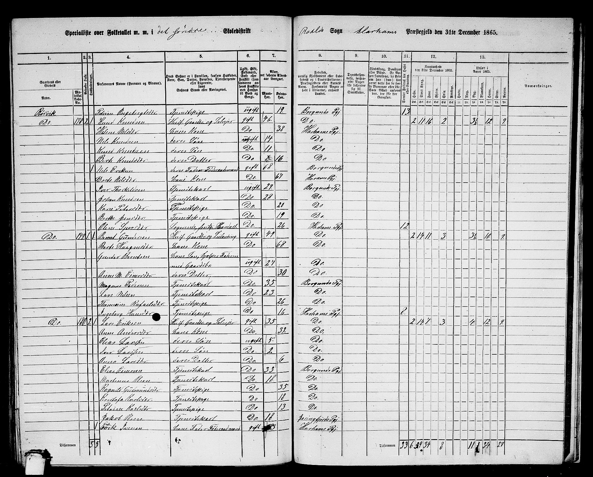 RA, 1865 census for Haram, 1865, p. 85