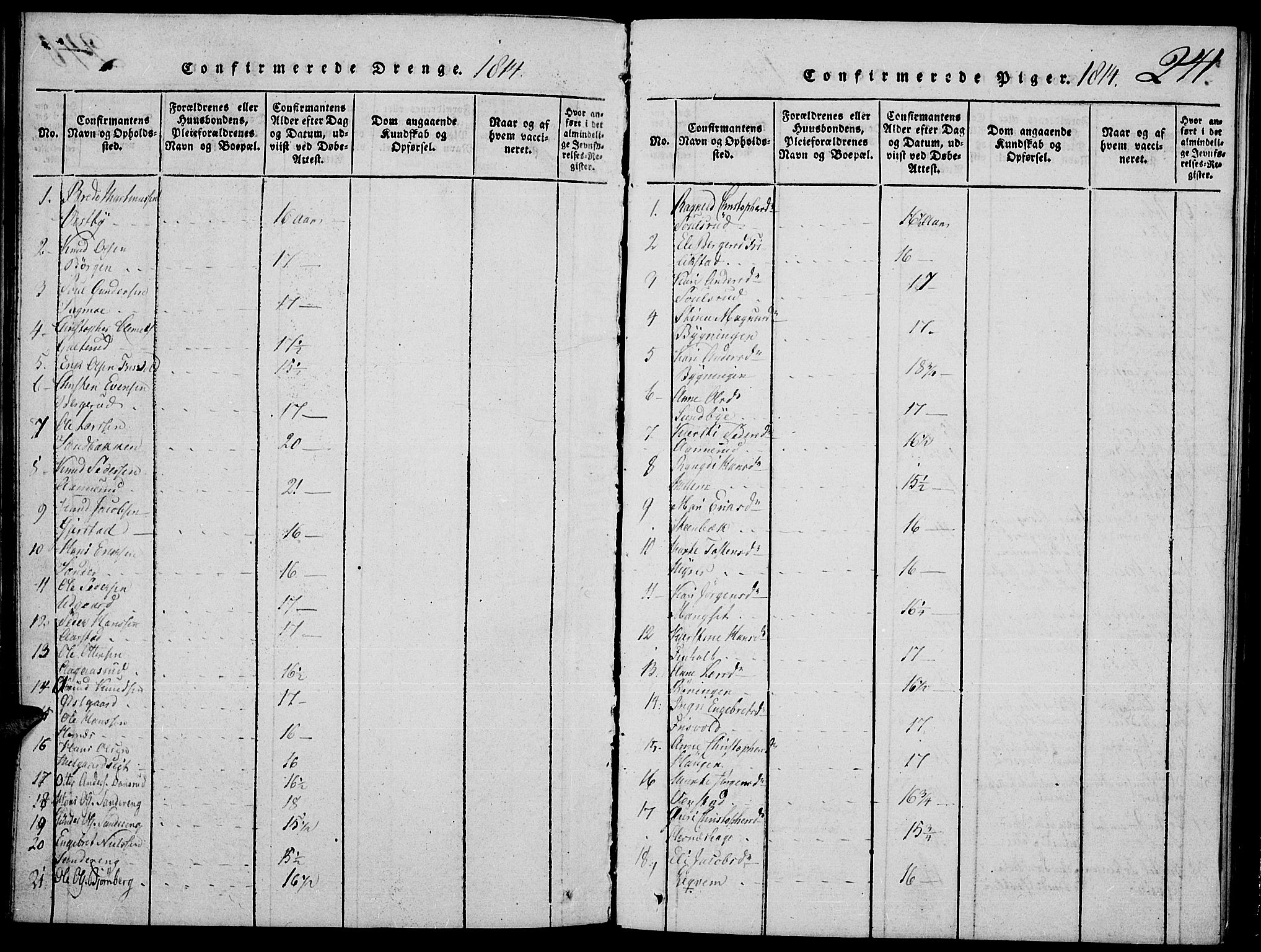 Strøm-Odalen prestekontor, SAH/PREST-028/H/Ha/Hab/L0001: Parish register (copy) no. 1, 1813-1825, p. 241