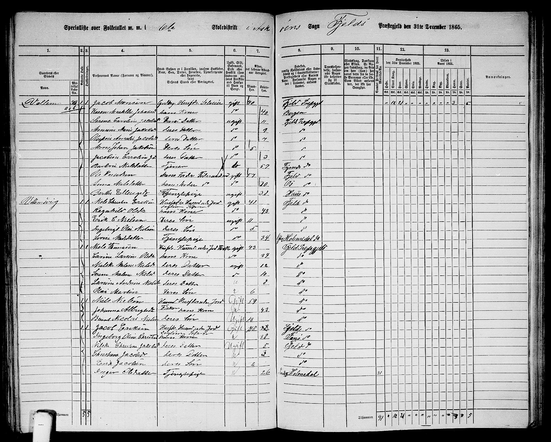 RA, 1865 census for Fjell, 1865, p. 204