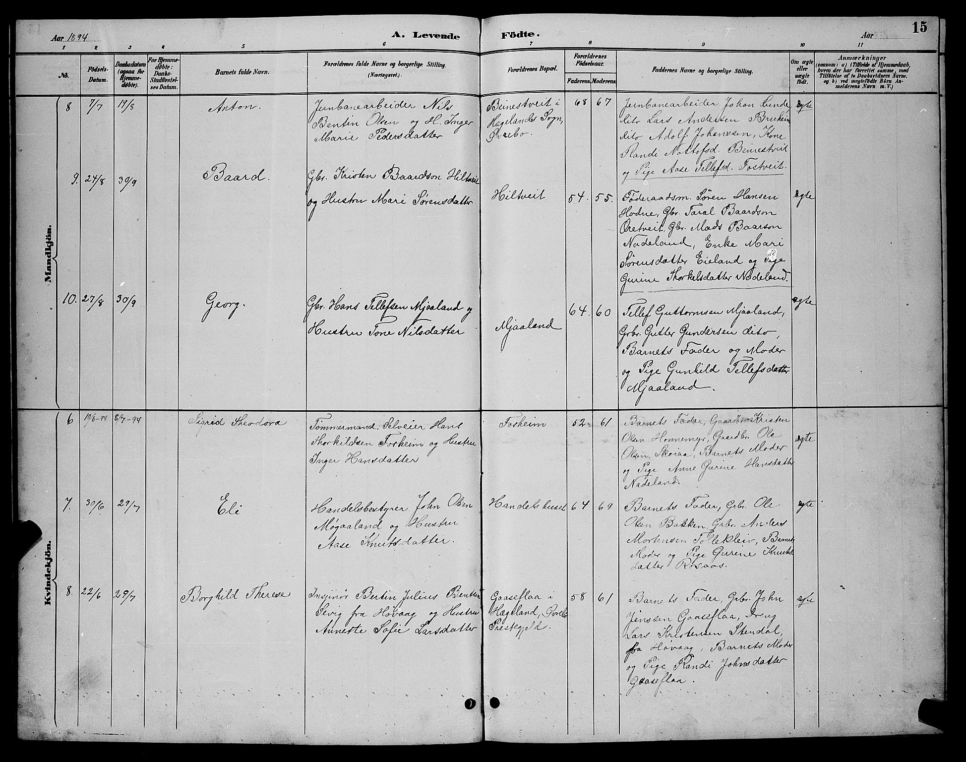 Evje sokneprestkontor, AV/SAK-1111-0008/F/Fb/Fbc/L0004: Parish register (copy) no. B 4, 1890-1900, p. 15