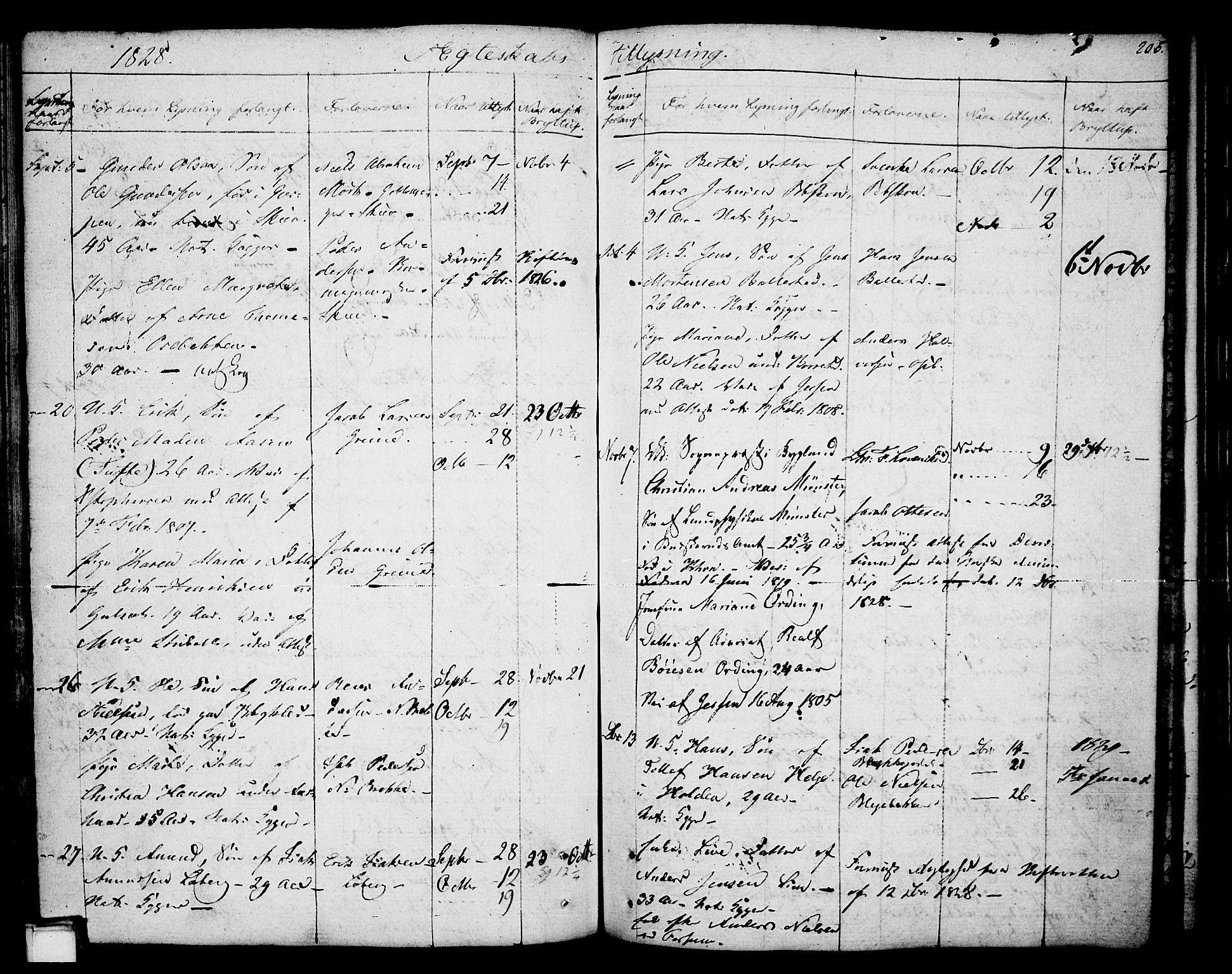 Gjerpen kirkebøker, AV/SAKO-A-265/F/Fa/L0003: Parish register (official) no. I 3, 1796-1814, p. 205