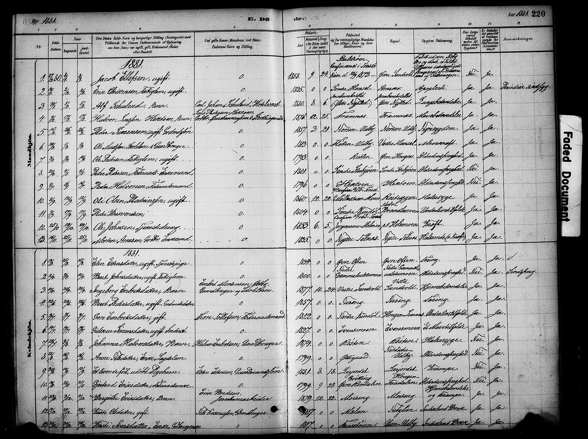 Tynset prestekontor, AV/SAH-PREST-058/H/Ha/Hab/L0006: Parish register (copy) no. 6, 1880-1899, p. 220