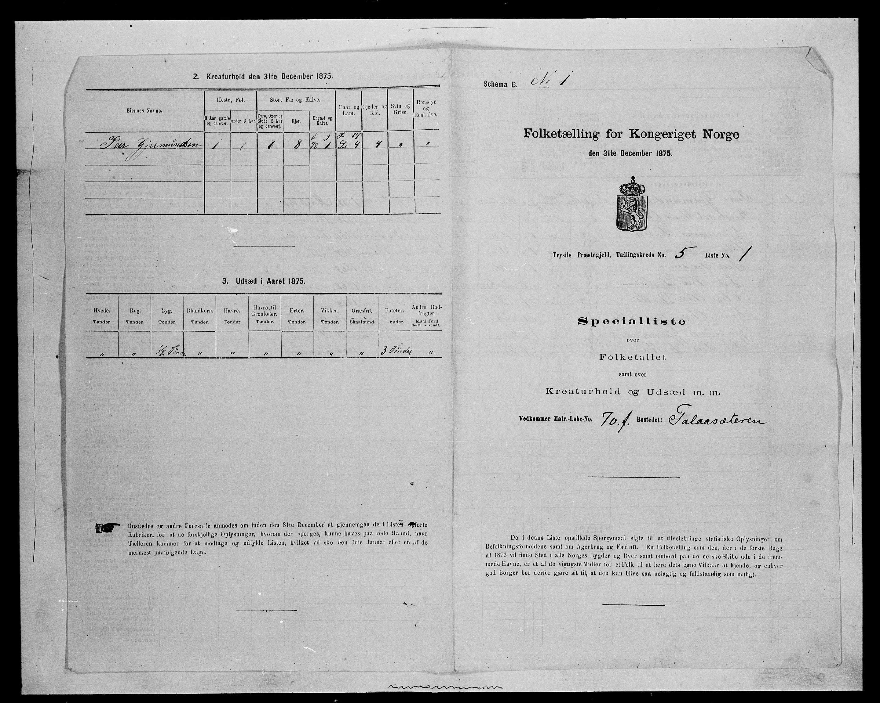 SAH, 1875 census for 0428P Trysil, 1875, p. 674