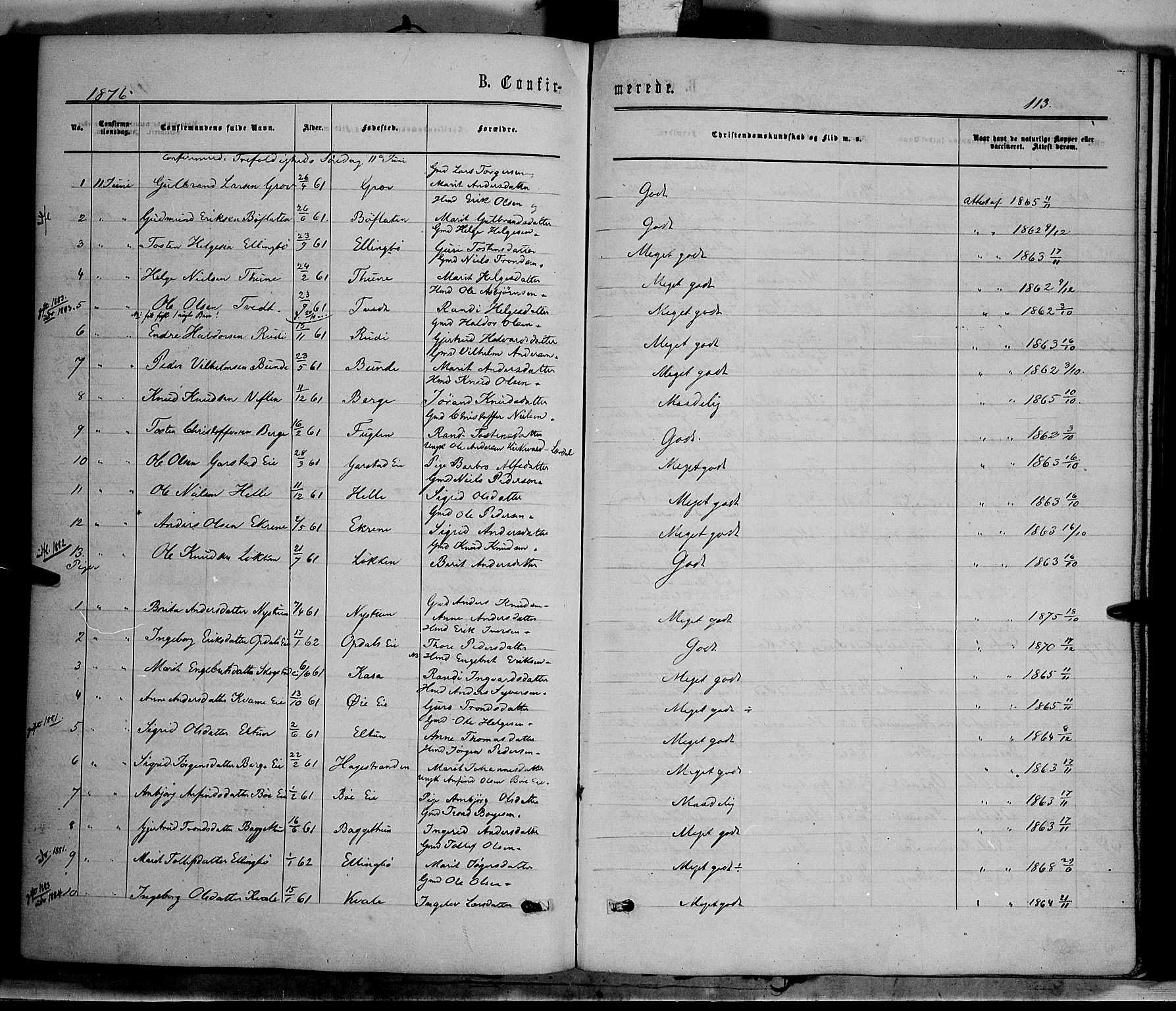 Vang prestekontor, Valdres, SAH/PREST-140/H/Ha/L0007: Parish register (official) no. 7, 1865-1881, p. 113