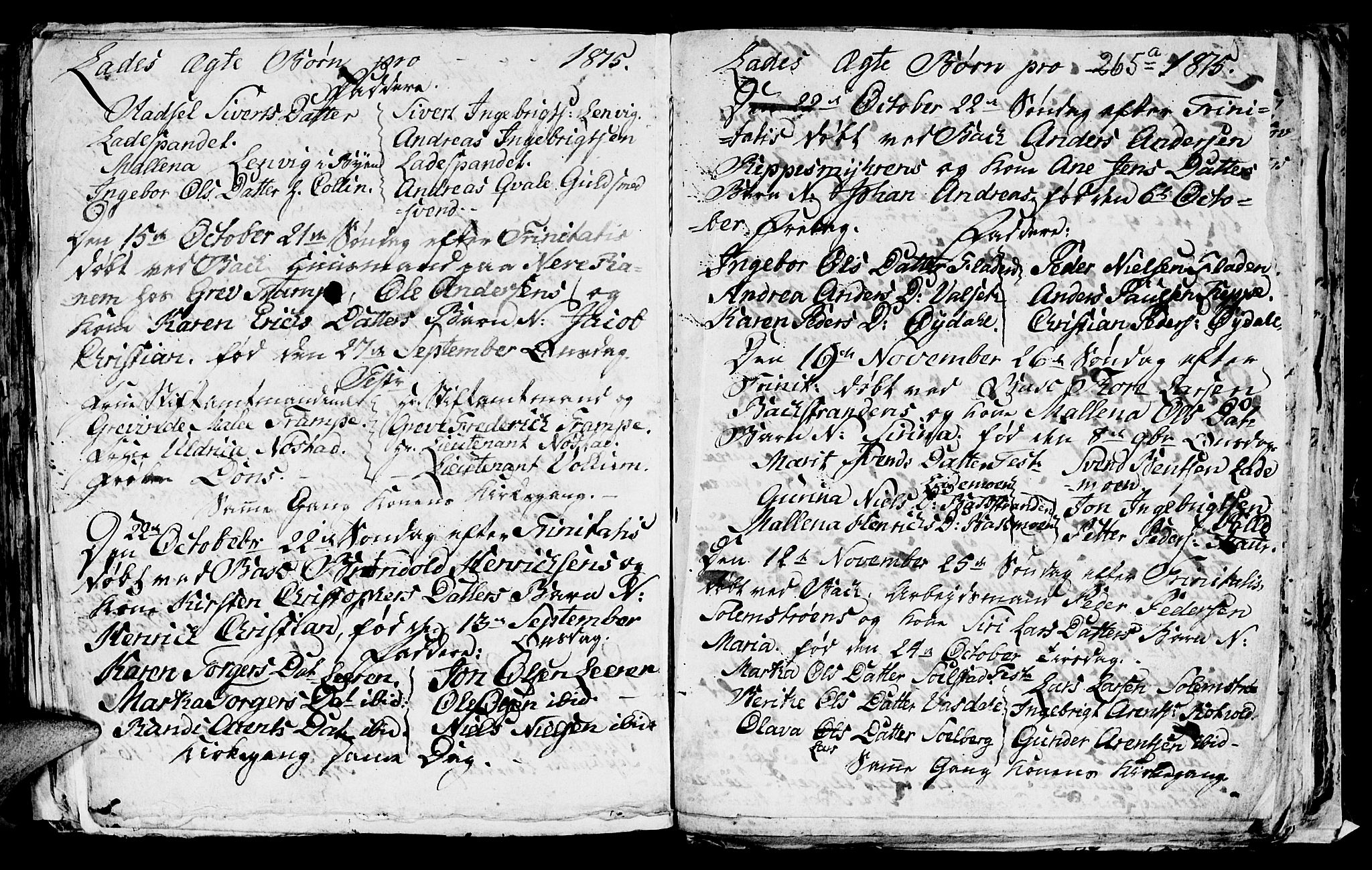 Ministerialprotokoller, klokkerbøker og fødselsregistre - Sør-Trøndelag, AV/SAT-A-1456/606/L0305: Parish register (copy) no. 606C01, 1757-1819, p. 265a