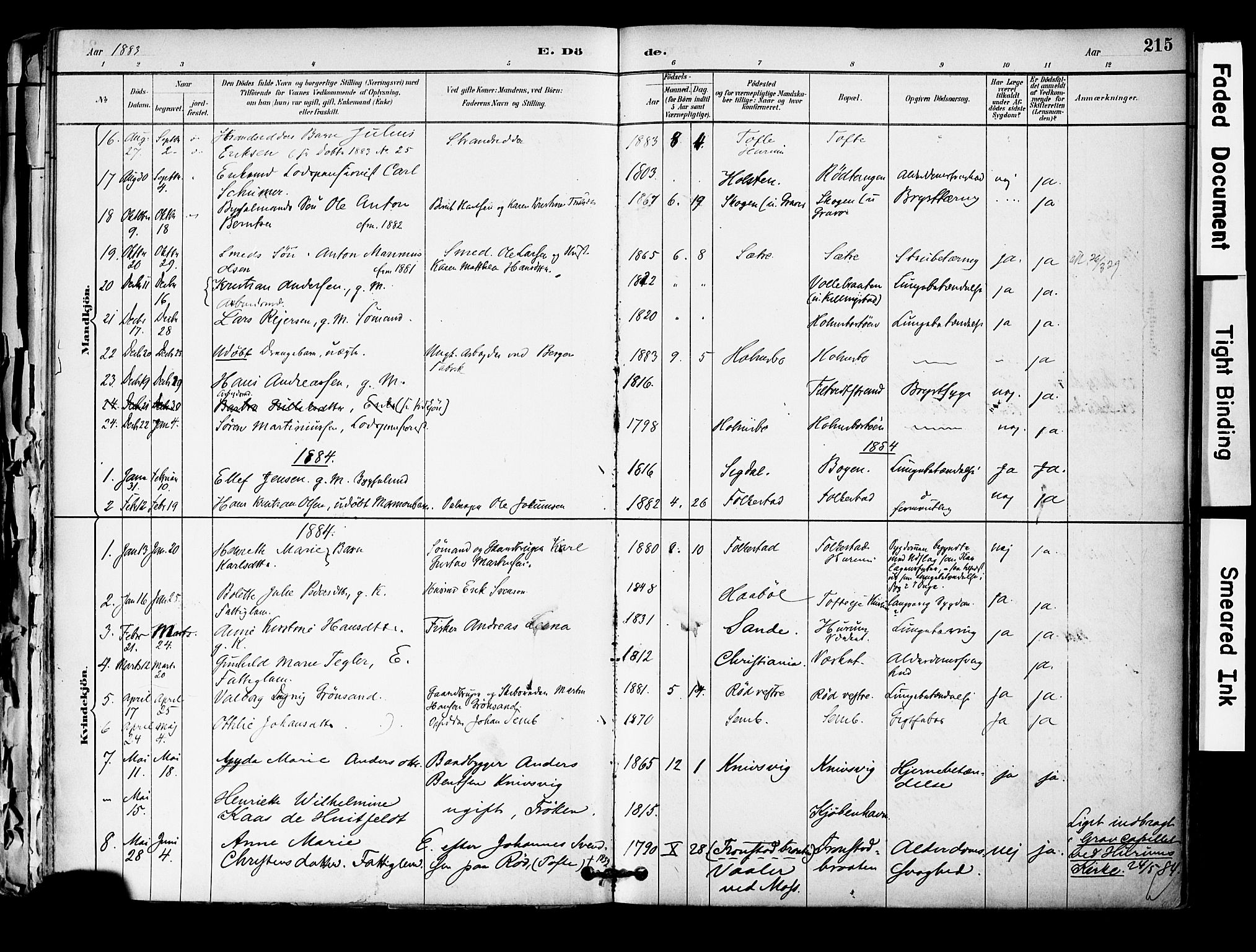 Hurum kirkebøker, SAKO/A-229/F/Fa/L0014: Parish register (official) no. 14, 1882-1895, p. 215