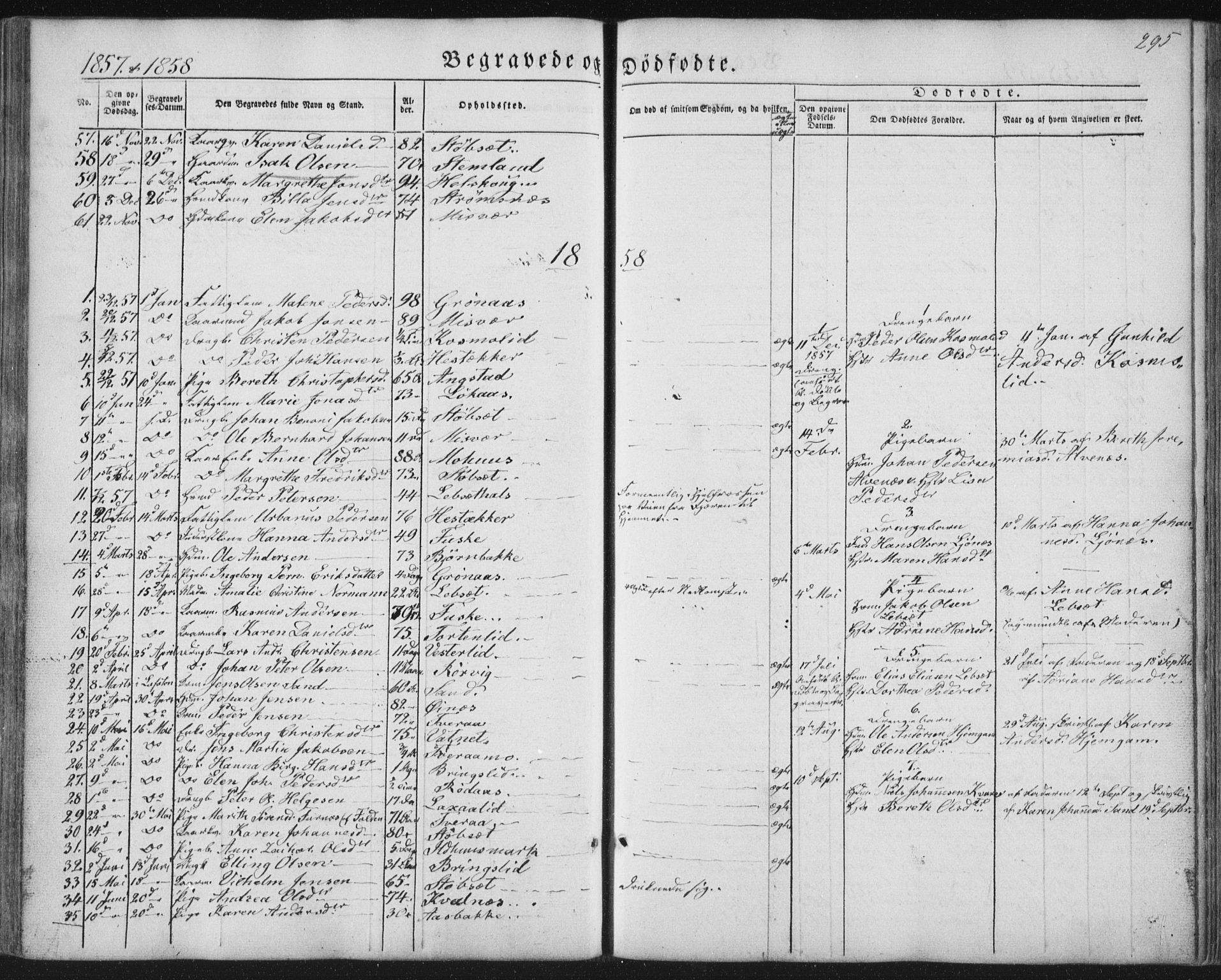Ministerialprotokoller, klokkerbøker og fødselsregistre - Nordland, SAT/A-1459/852/L0738: Parish register (official) no. 852A08, 1849-1865, p. 295