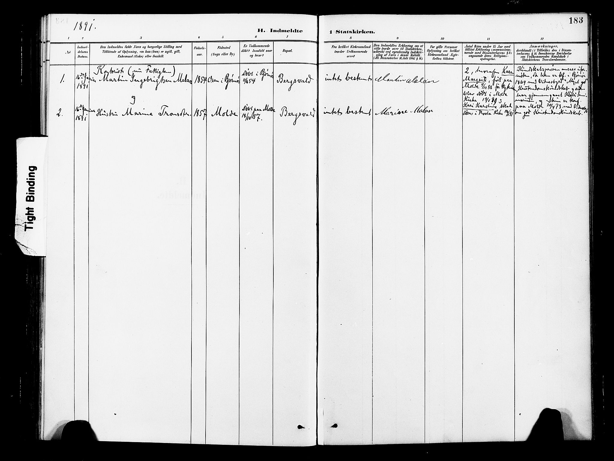 Ministerialprotokoller, klokkerbøker og fødselsregistre - Nord-Trøndelag, SAT/A-1458/713/L0121: Parish register (official) no. 713A10, 1888-1898, p. 183
