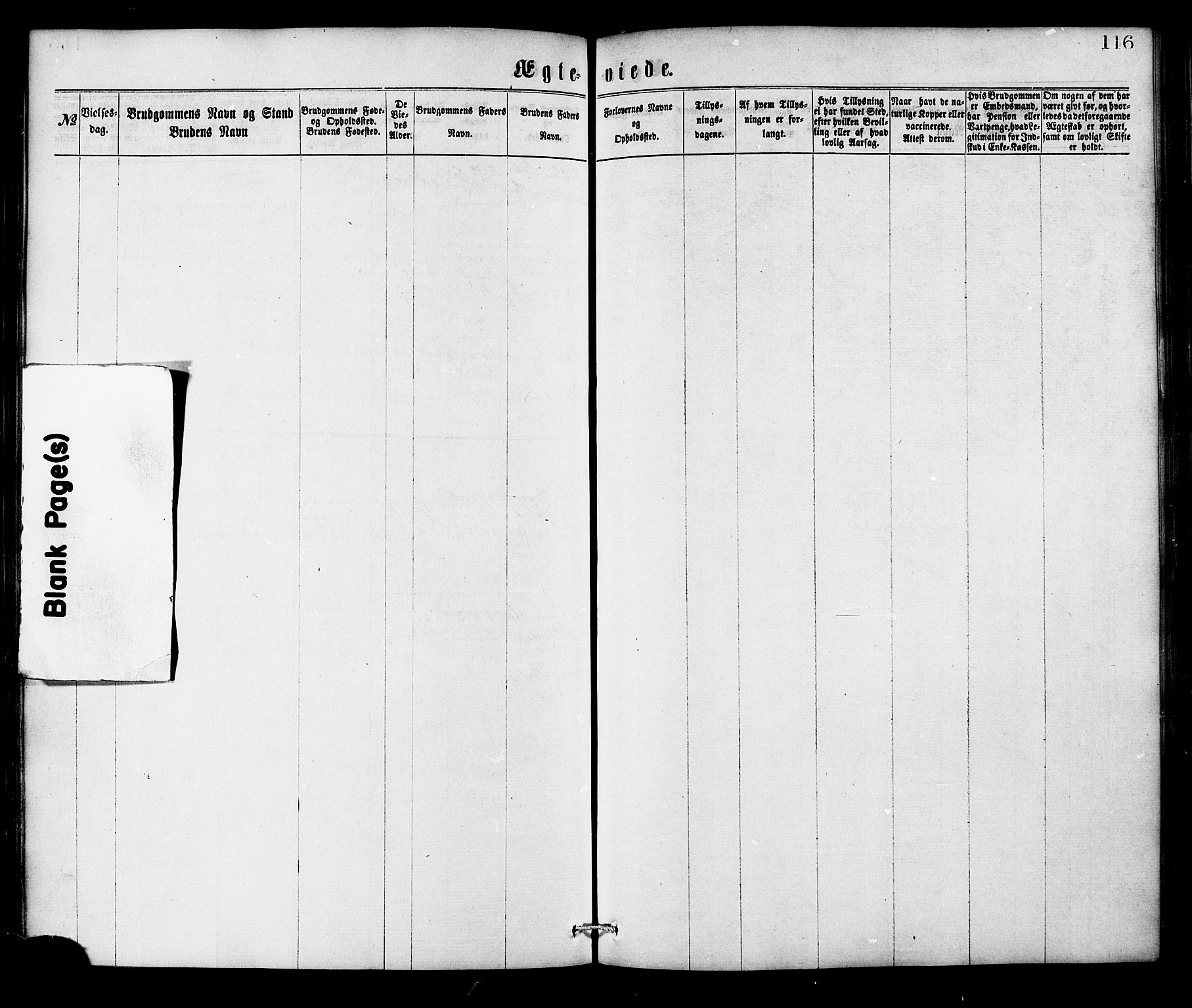 Ministerialprotokoller, klokkerbøker og fødselsregistre - Nordland, SAT/A-1459/826/L0378: Parish register (official) no. 826A01, 1865-1878, p. 116
