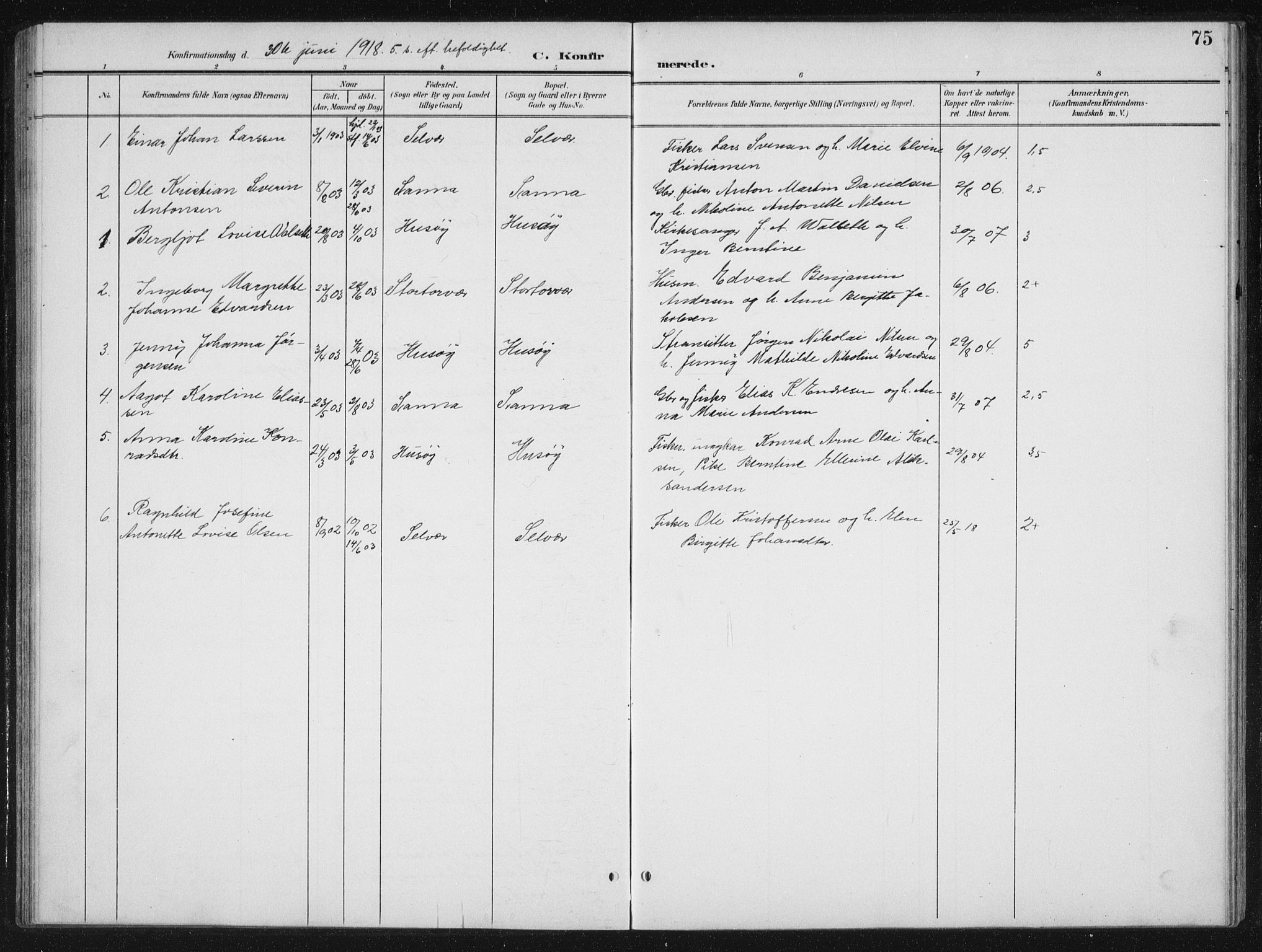 Ministerialprotokoller, klokkerbøker og fødselsregistre - Nordland, SAT/A-1459/840/L0583: Parish register (copy) no. 840C03, 1901-1933, p. 75