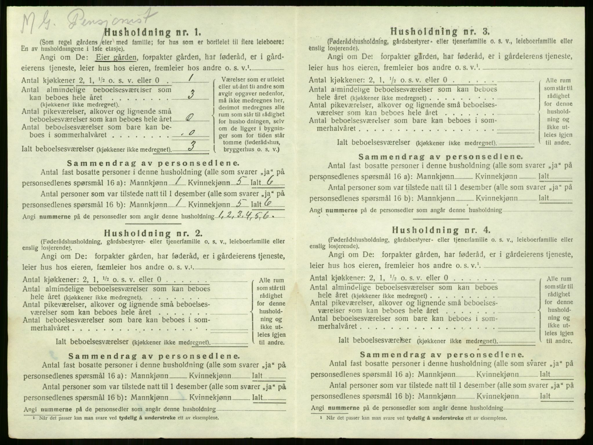 SAKO, 1920 census for Nøtterøy, 1920, p. 907