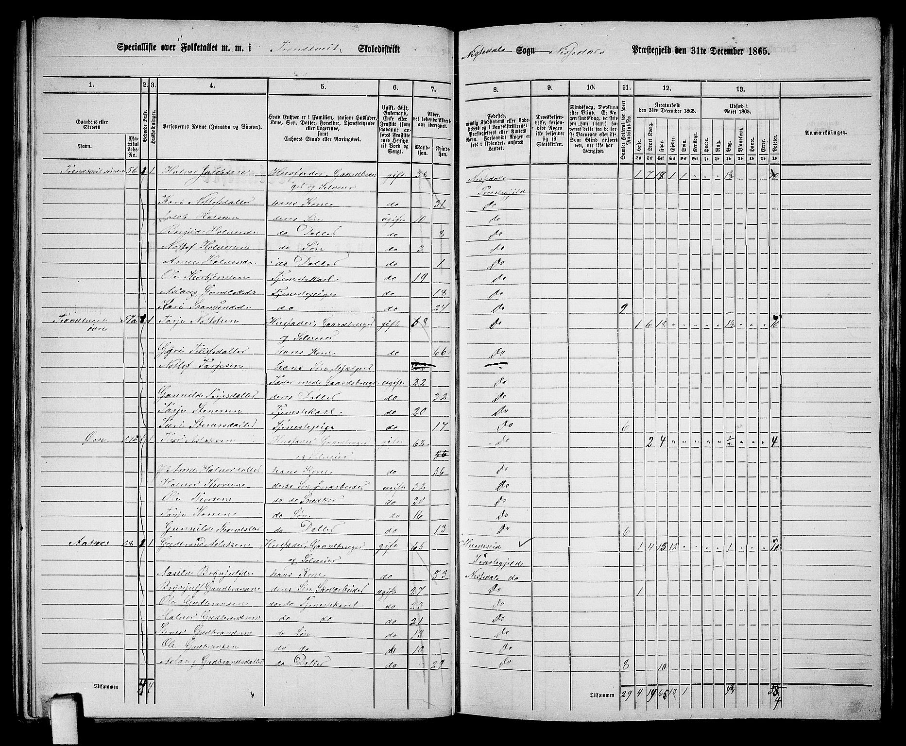 RA, 1865 census for Nissedal, 1865, p. 53