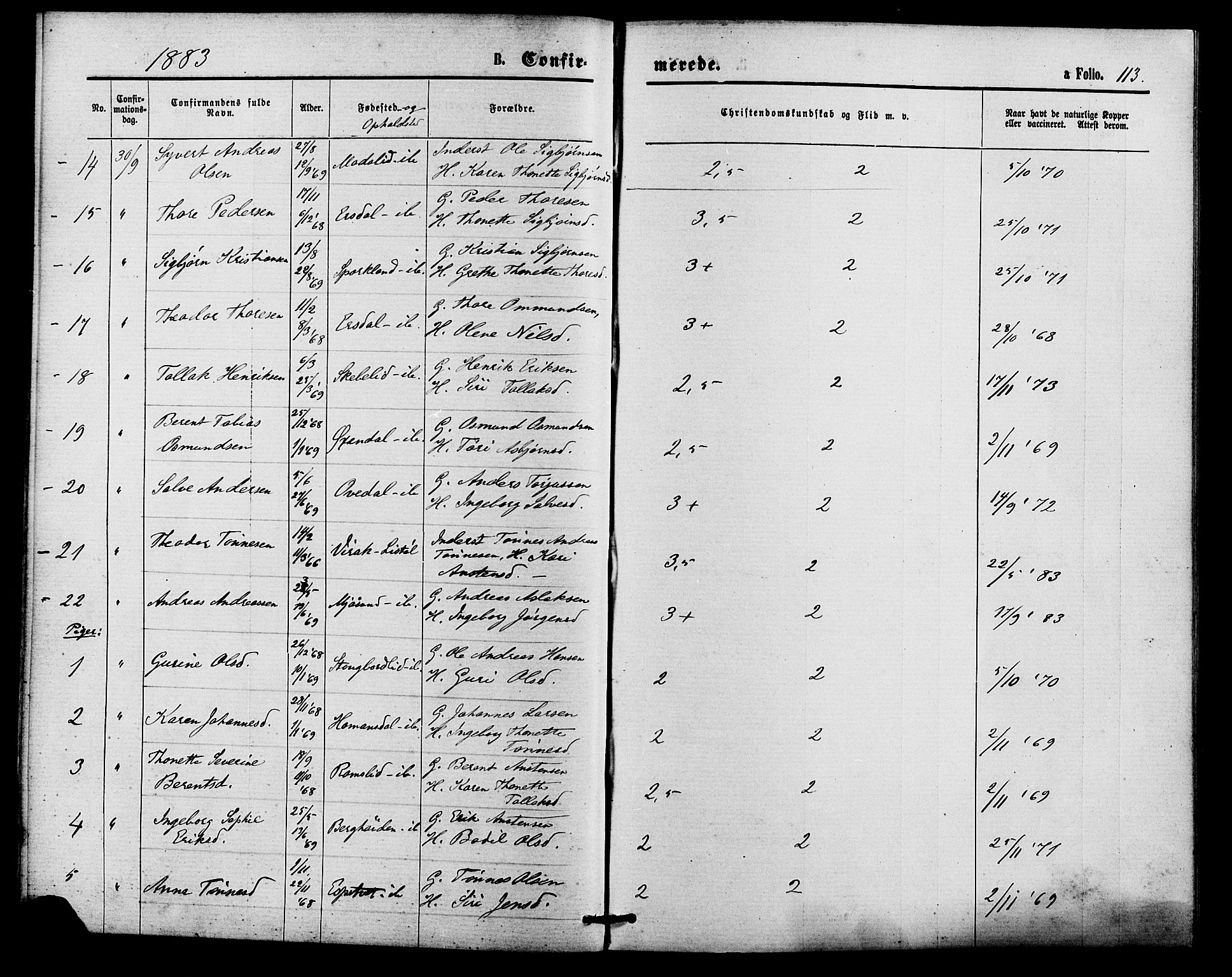 Bakke sokneprestkontor, AV/SAK-1111-0002/F/Fa/Faa/L0007: Parish register (official) no. A 7, 1877-1886, p. 113