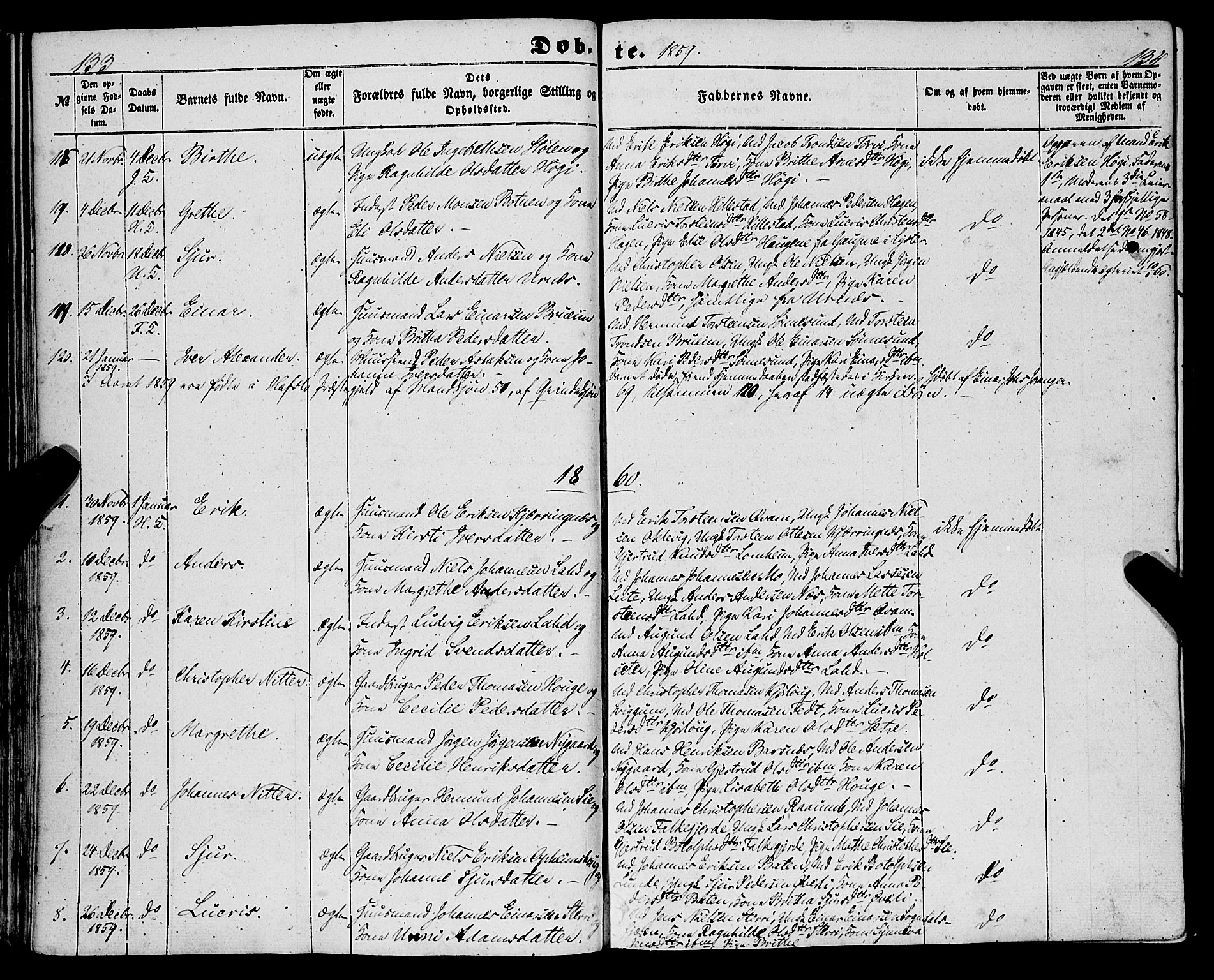 Hafslo sokneprestembete, AV/SAB-A-80301/H/Haa/Haaa/L0009: Parish register (official) no. A 9, 1852-1873, p. 133-134