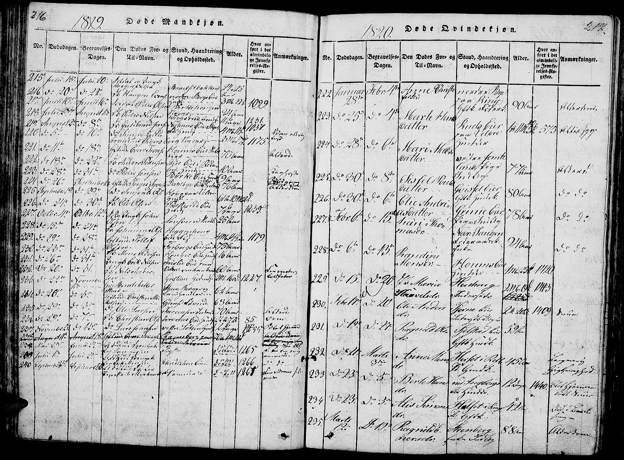 Ringsaker prestekontor, AV/SAH-PREST-014/L/La/L0001: Parish register (copy) no. 1, 1814-1826, p. 216-217