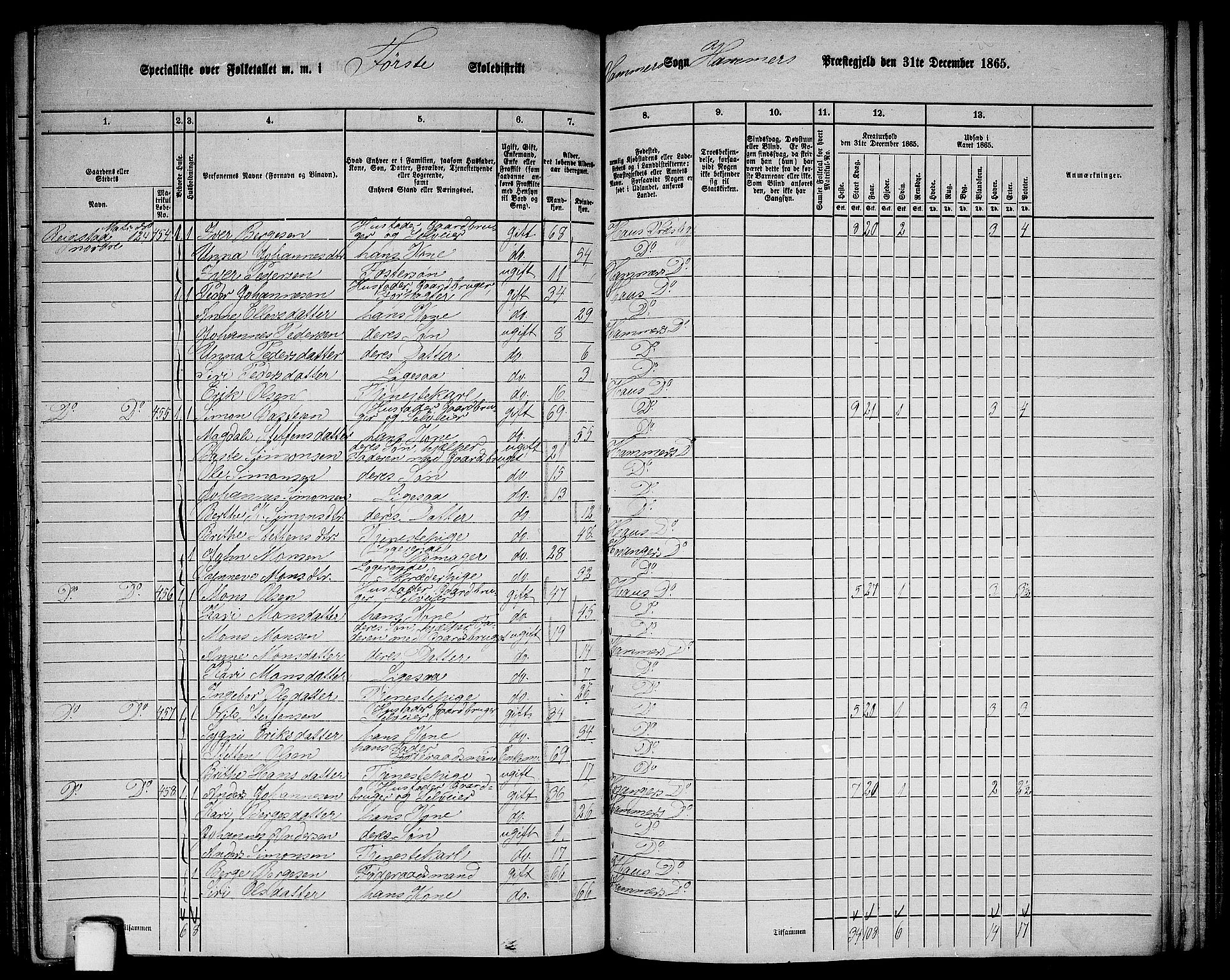 RA, 1865 census for Hamre, 1865, p. 161