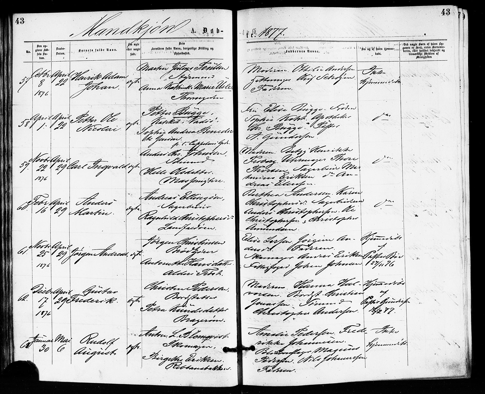 Bragernes kirkebøker, AV/SAKO-A-6/F/Fb/L0005: Parish register (official) no. II 5, 1875-1877, p. 43