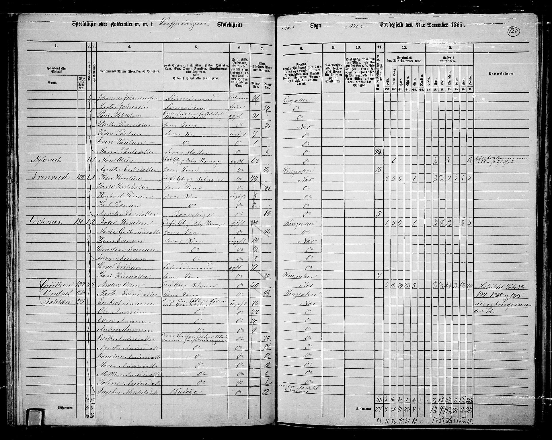 RA, 1865 census for Nes, 1865, p. 105