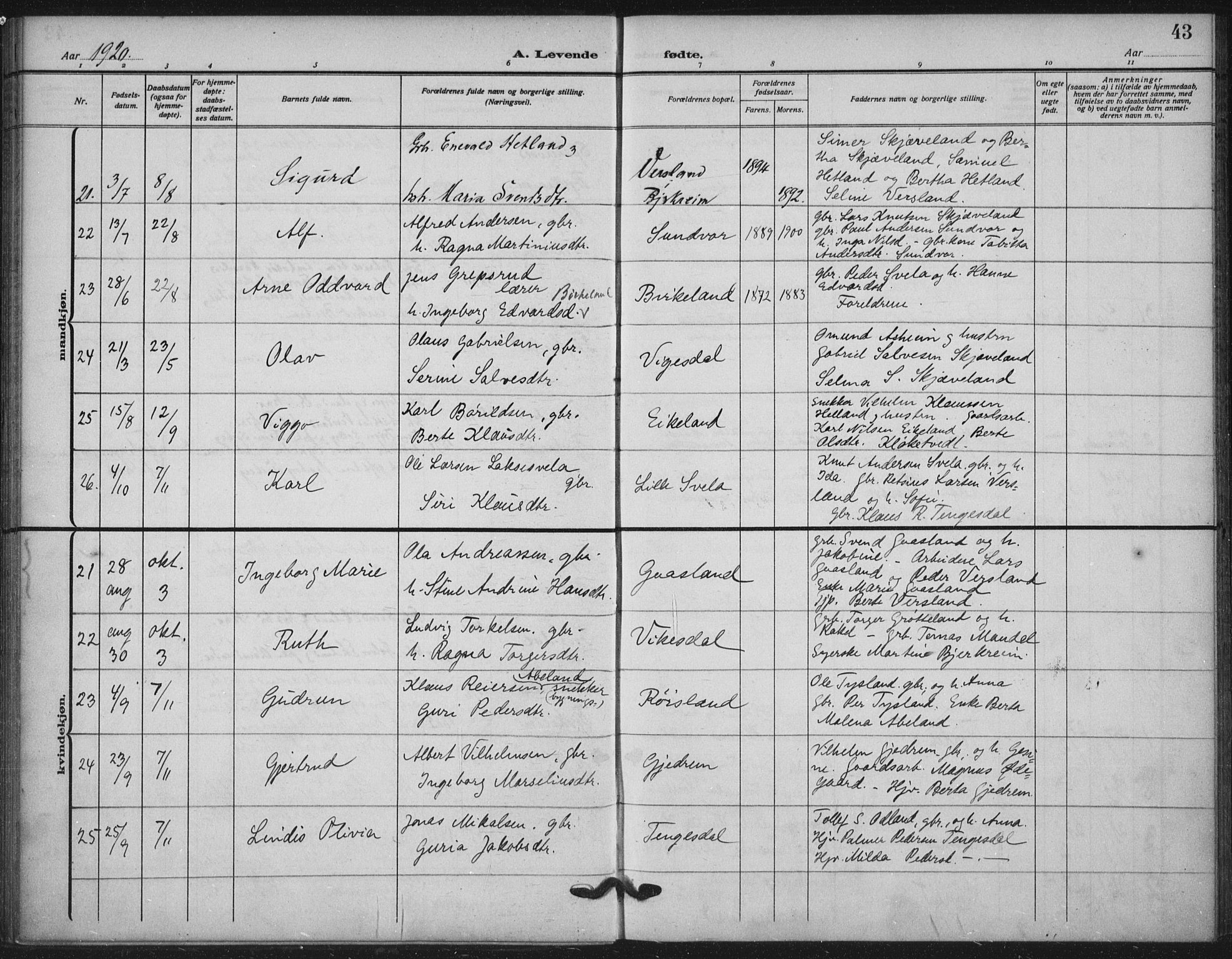 Helleland sokneprestkontor, AV/SAST-A-101810: Parish register (official) no. A 11, 1909-1922, p. 43