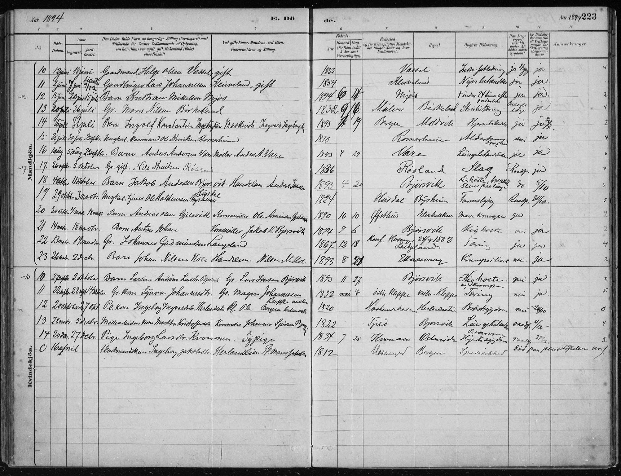 Hosanger sokneprestembete, AV/SAB-A-75801/H/Haa: Parish register (official) no. B  1, 1880-1896, p. 223