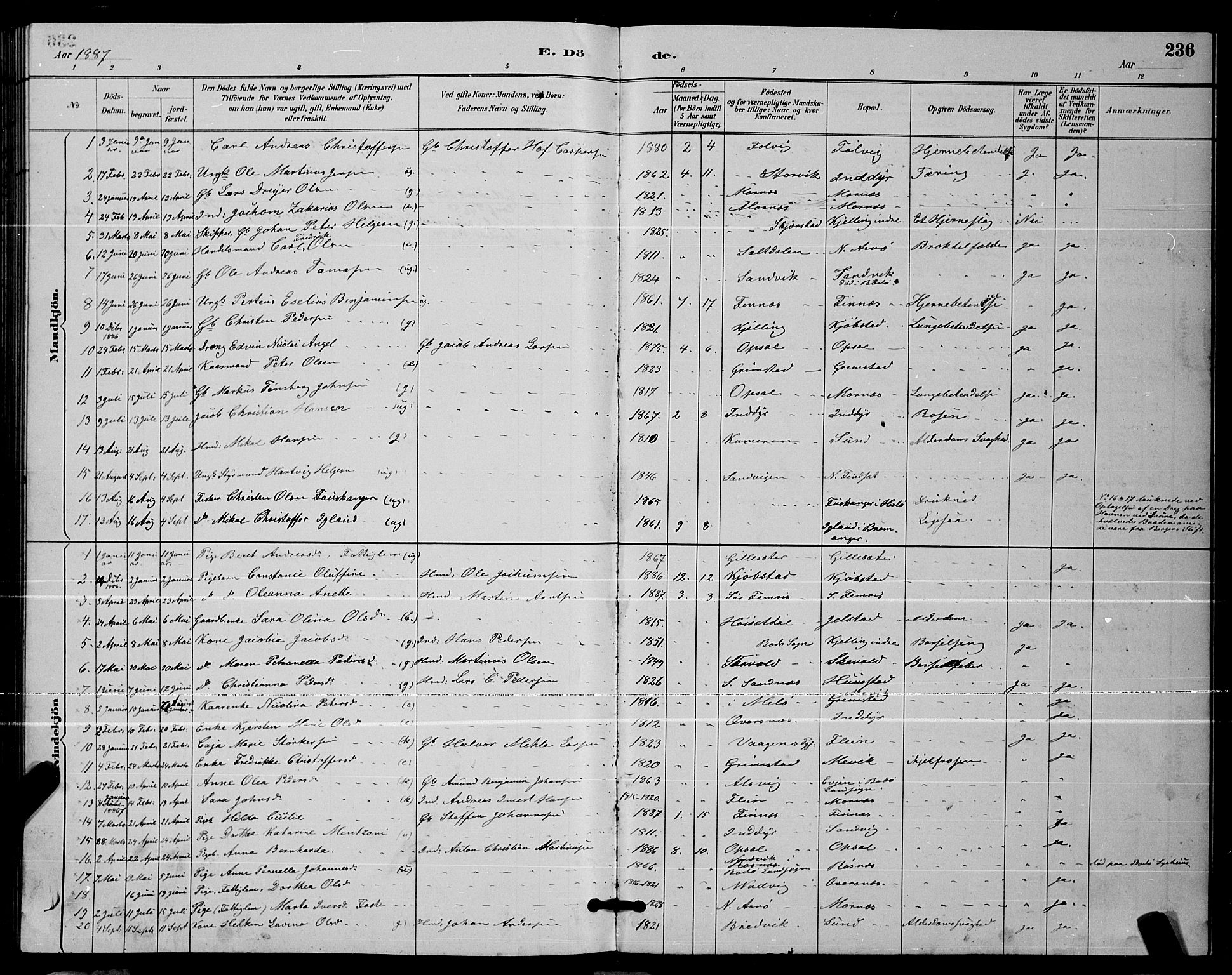 Ministerialprotokoller, klokkerbøker og fødselsregistre - Nordland, AV/SAT-A-1459/805/L0108: Parish register (copy) no. 805C04, 1885-1899, p. 236